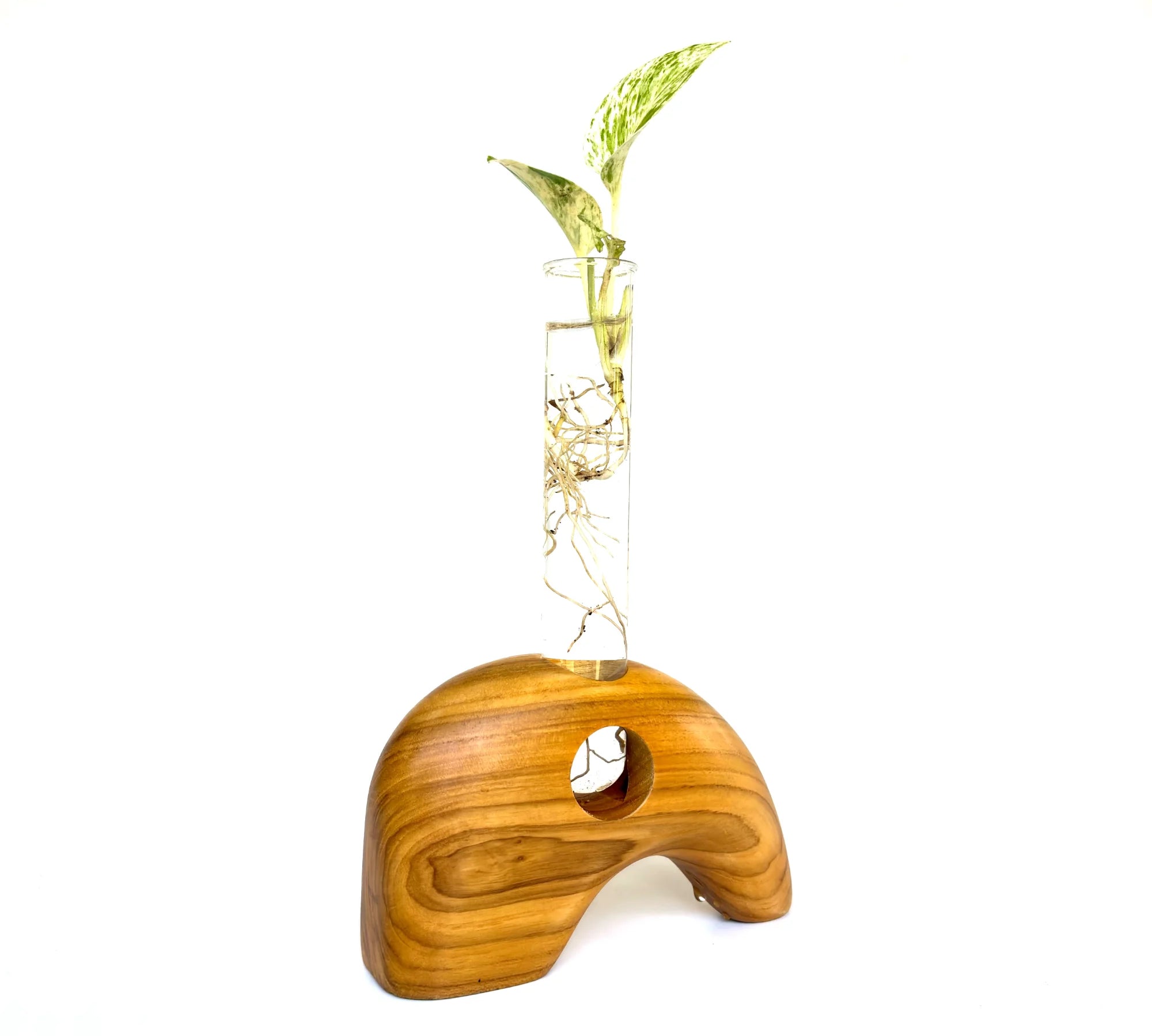 Elephant shape test tube vase with wooden base featuring a plant cutting and clear glass tube