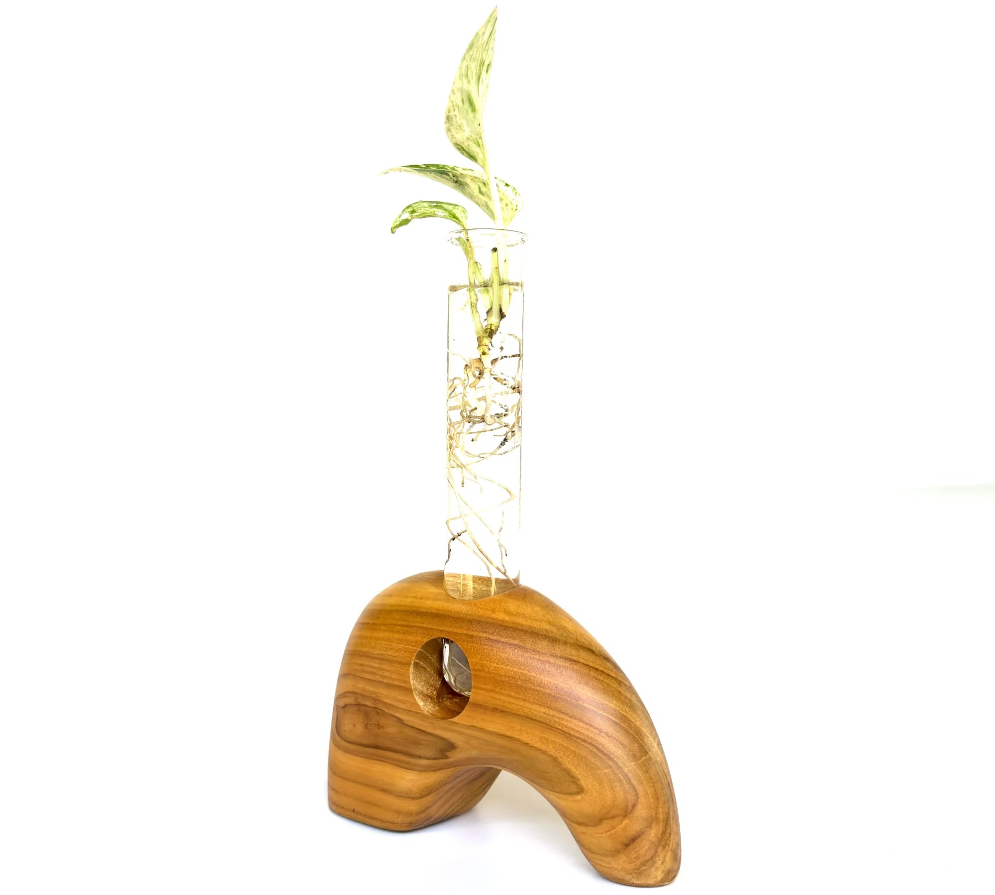 Elephant shape test tube vase made of wood with a clear glass tube for creative floral displays