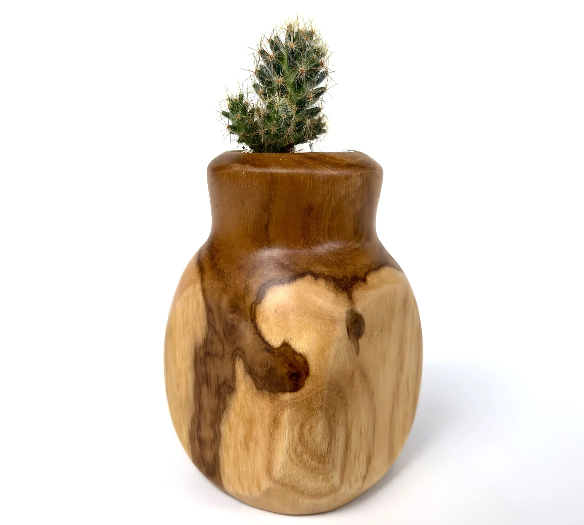 Handcrafted teak cactus pot featuring a unique wood grain design, perfect for adding natural decor