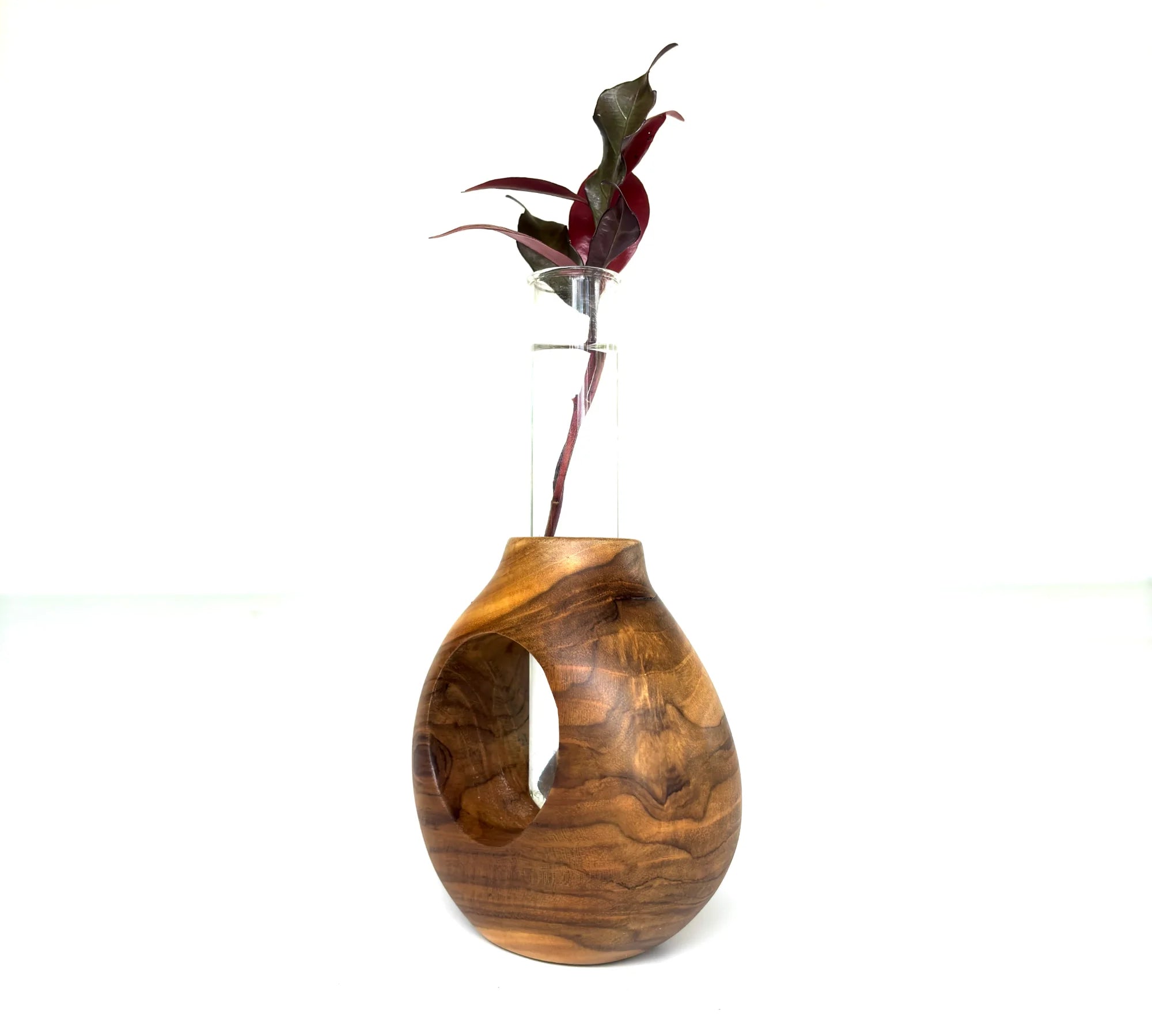 Teak wood test tube vase with a unique shape displaying a single stemmed plant