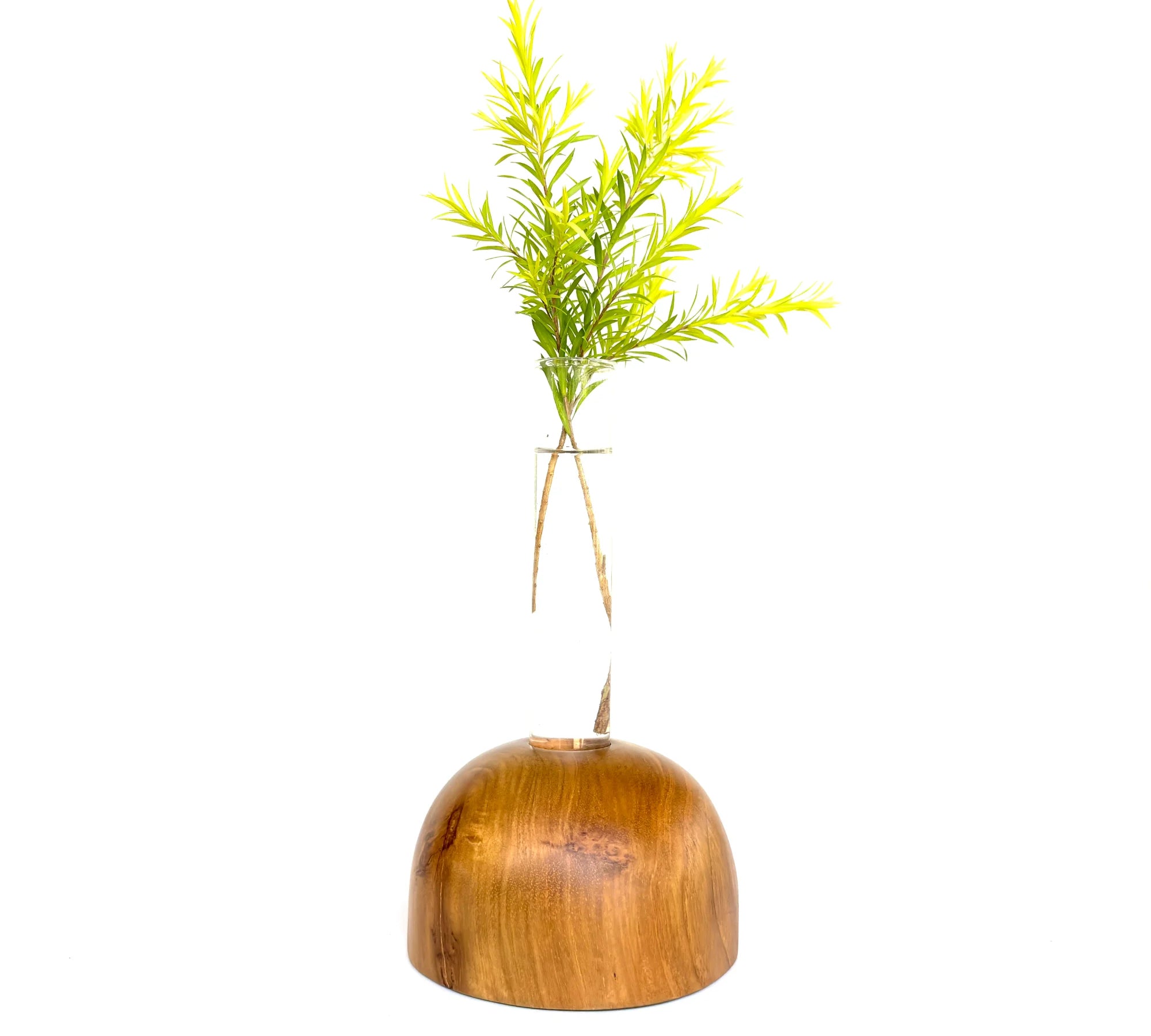 Wooden test tube vase featuring a natural wooden base and a plant for home decor