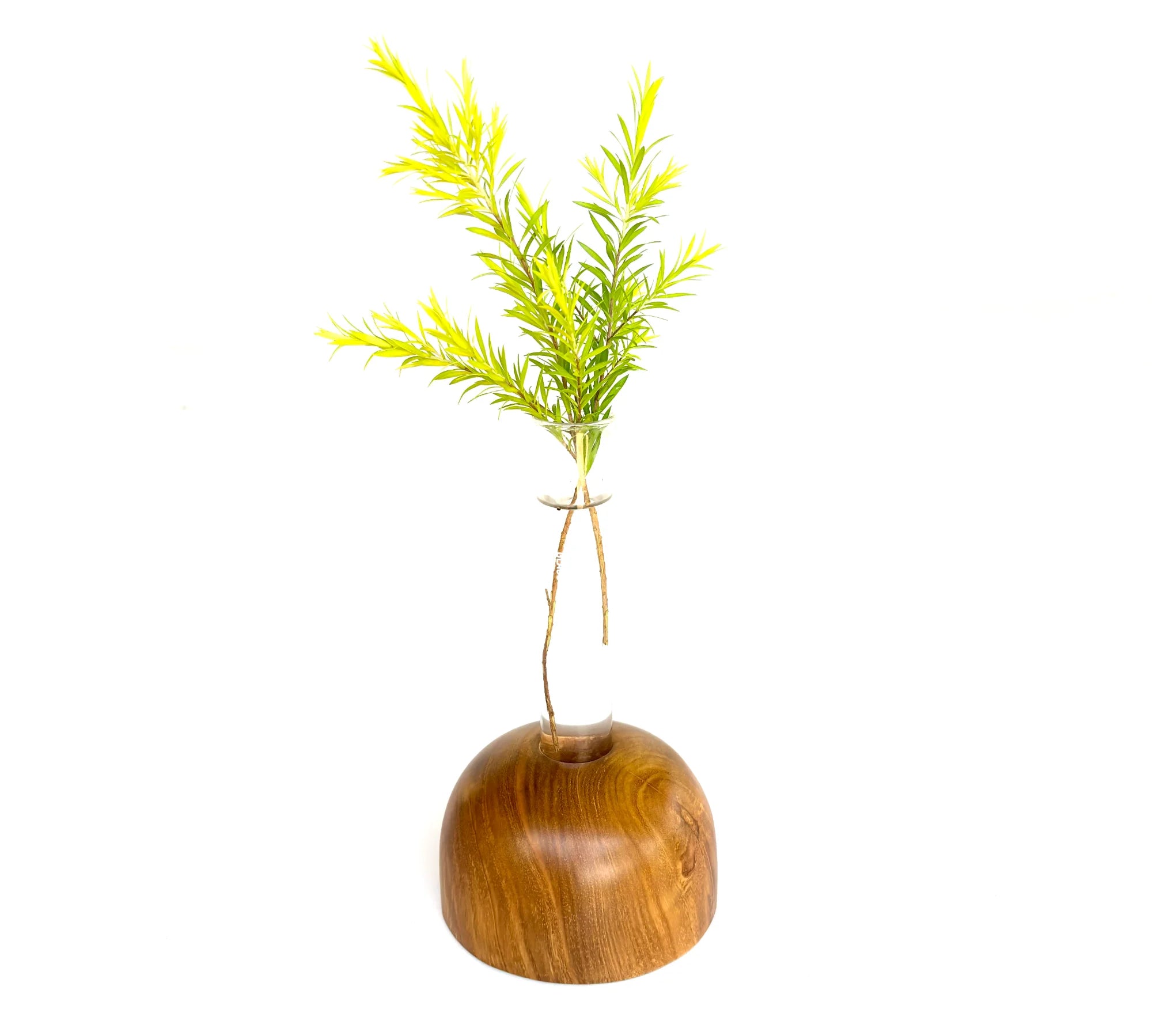 Wooden test tube vase with a natural wood base and green plant sprig for elegant home decor