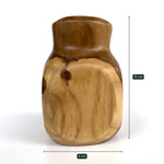 Stylish cactus pot – enhance your home décor - wp002