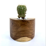 Handcrafted solid teak wood cactus pot - wp005