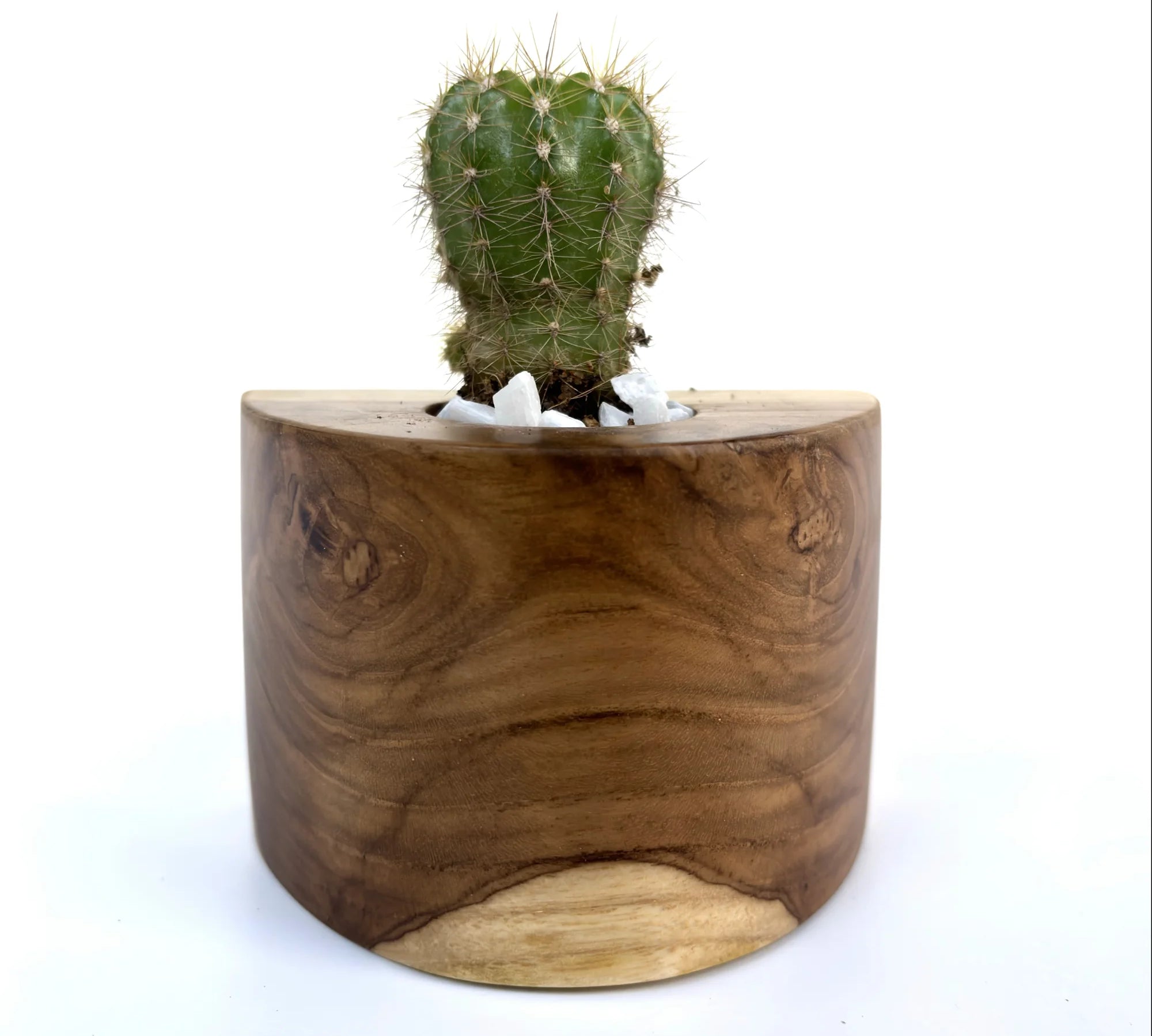 Handcrafted Solid Teak Wood Cactus Pot - WP005 - Wood Ceylon