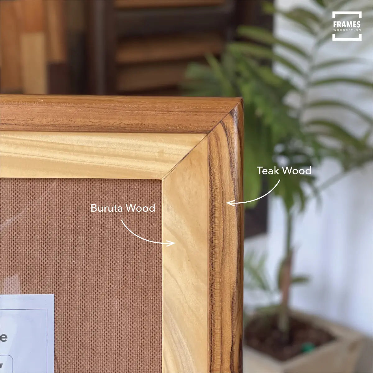 Handmade Teak & Burutha Wooden Picture Frames - 003