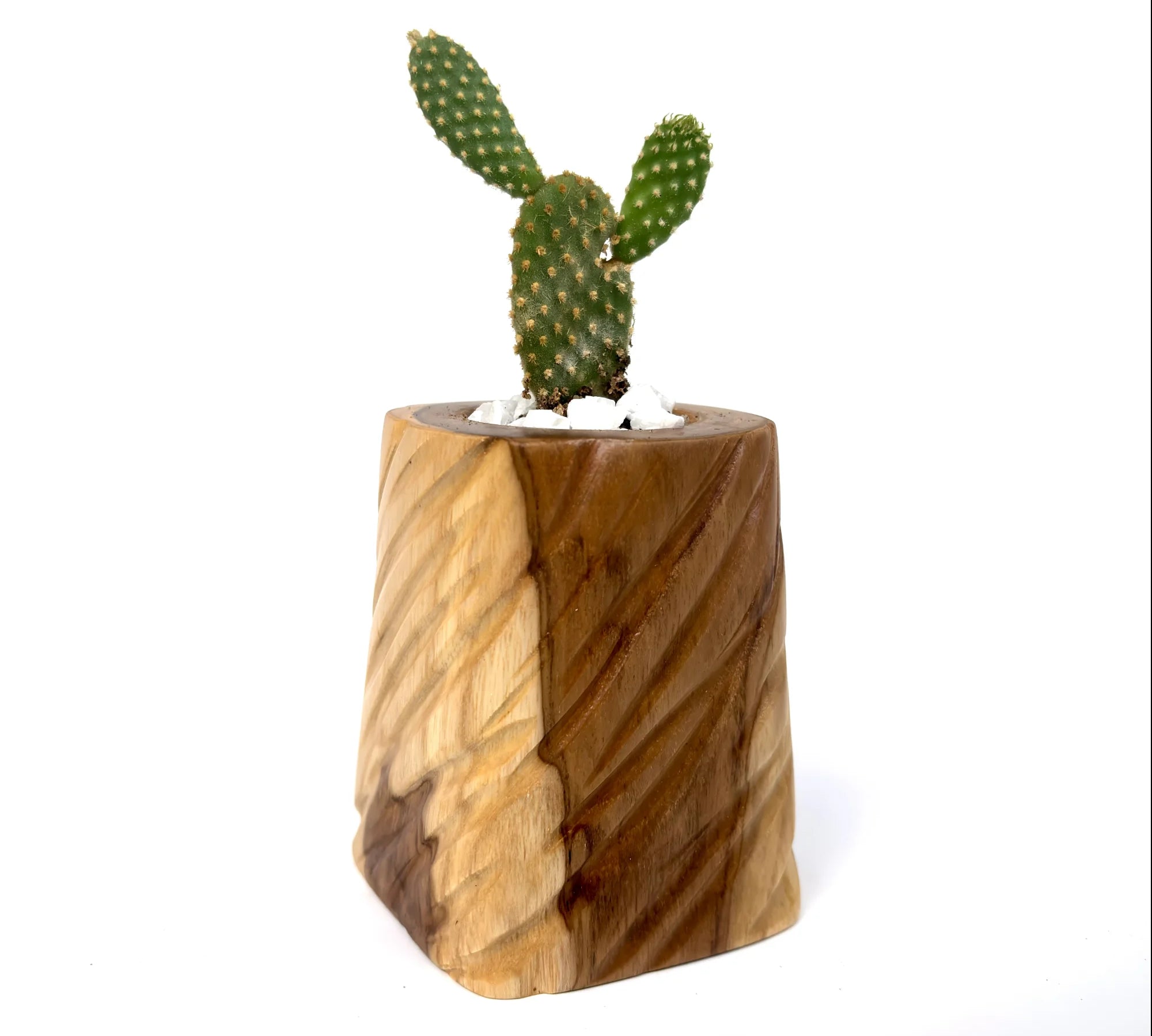 Wooden Small Pot – Perfect for Indoor Plants - WP001 - Wood Ceylon