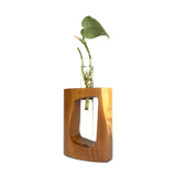 Rounded Frame Teak Test Tube Vase