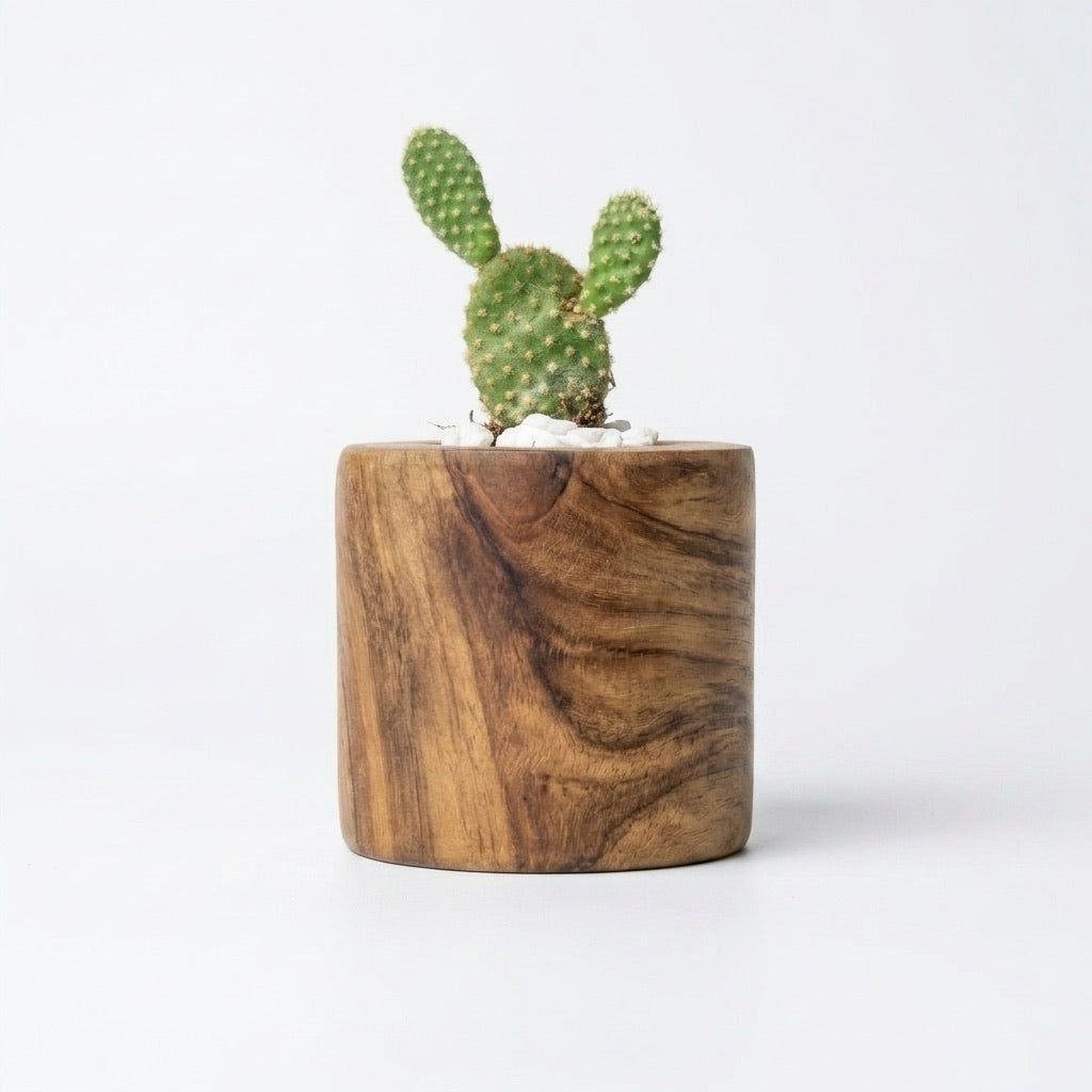Teak Cactus Holder with natural finish for home decor