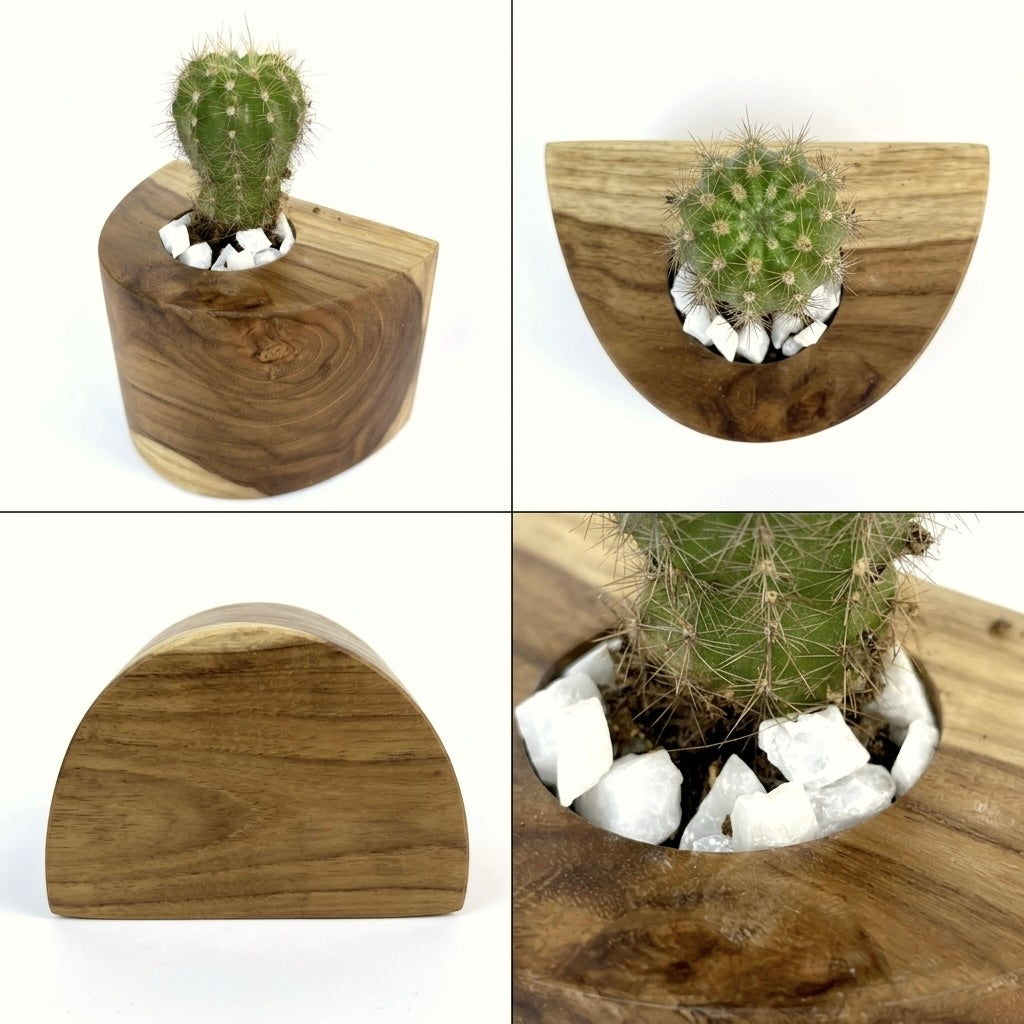Teak wood cactus pot with natural finish, featuring white stone accents