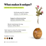 Wood Ceylon circular test tube vase crafted for a lifetime of beauty, perfect for tables and small spaces