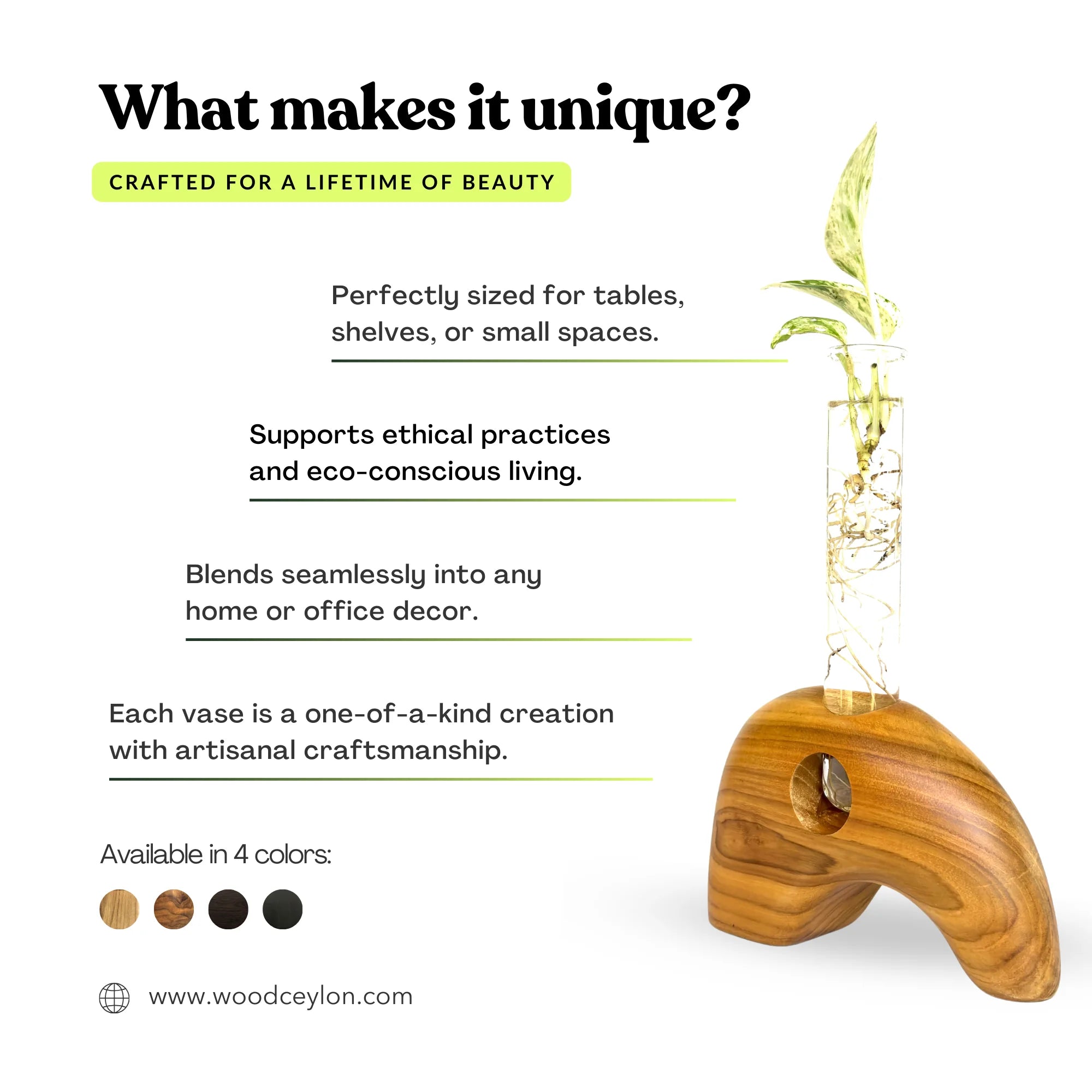 Wood Ceylon elephant shape test tube vase designed for decor and eco-conscious living