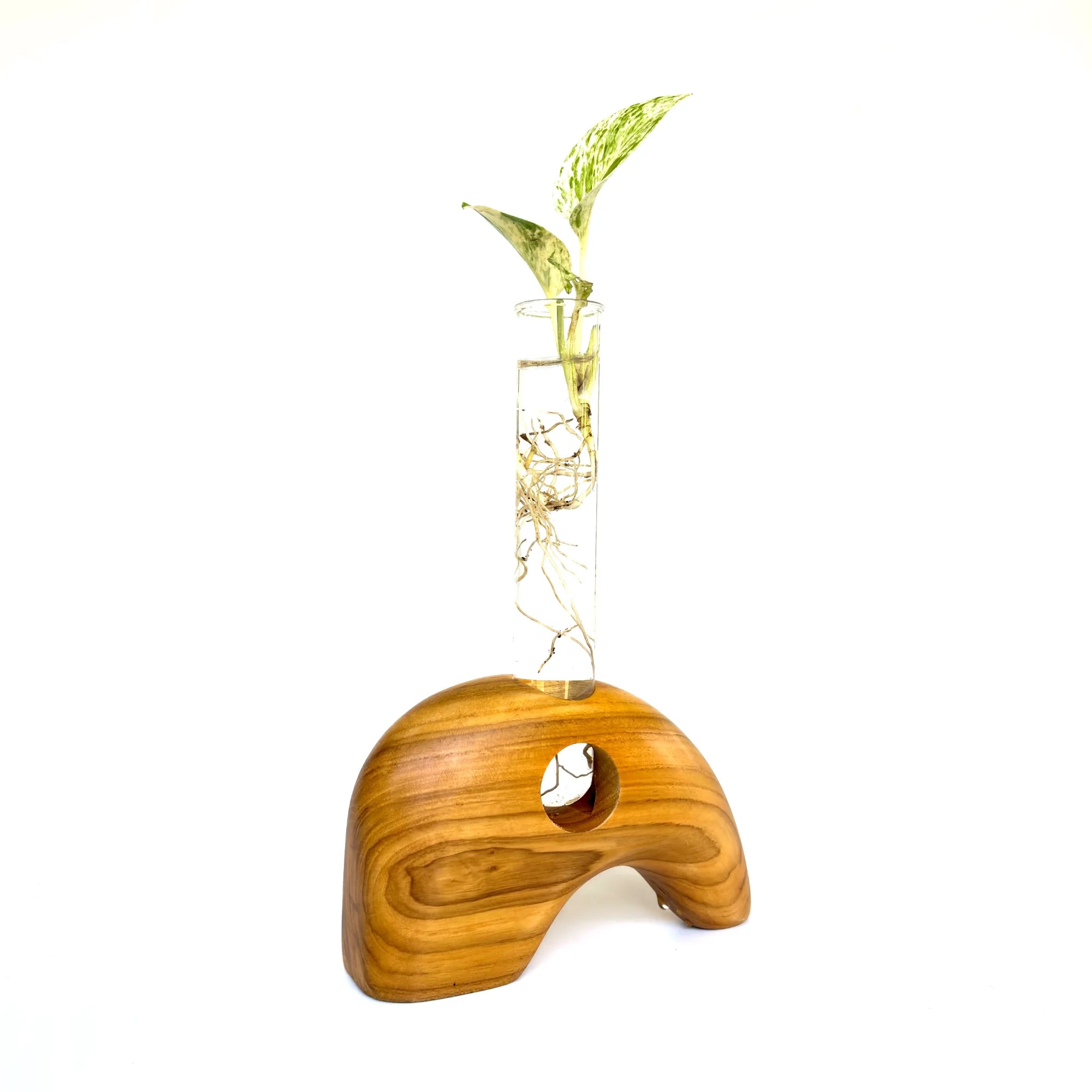 Elephant shape test tube vase with wooden base featuring a plant cutting and clear glass tube