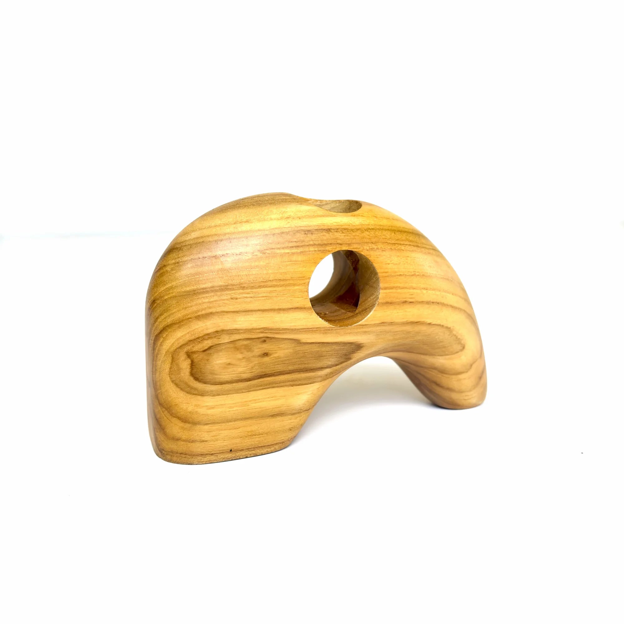 Wood Ceylon Elephant Shape Test Tube Vase in Natural Finish for Unique Home Decor
