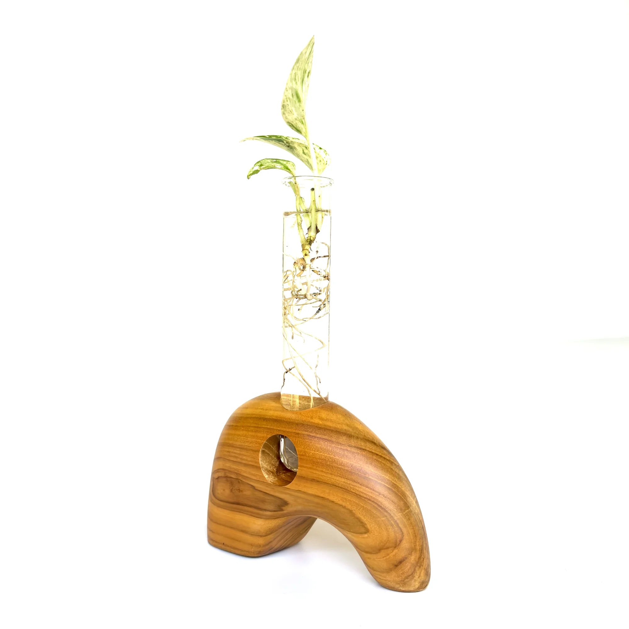 Elephant shape test tube vase made of wood with a clear glass tube for creative floral displays