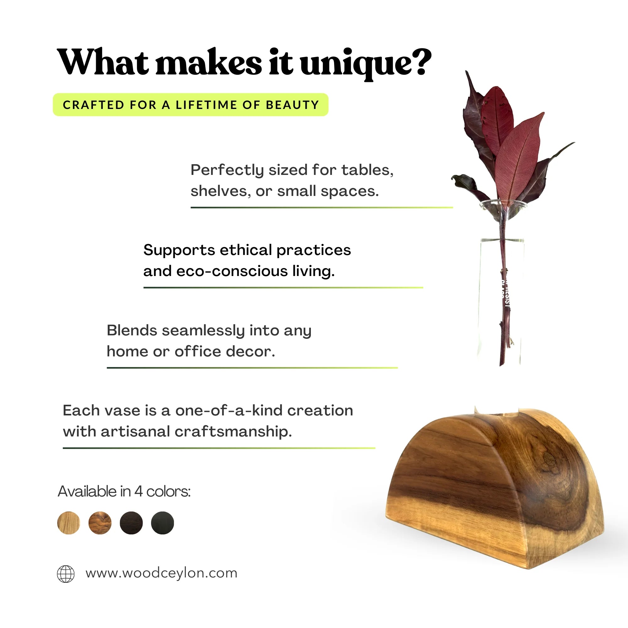 Half circle test tube vase by Wood Ceylon for unique floral displays in small spaces