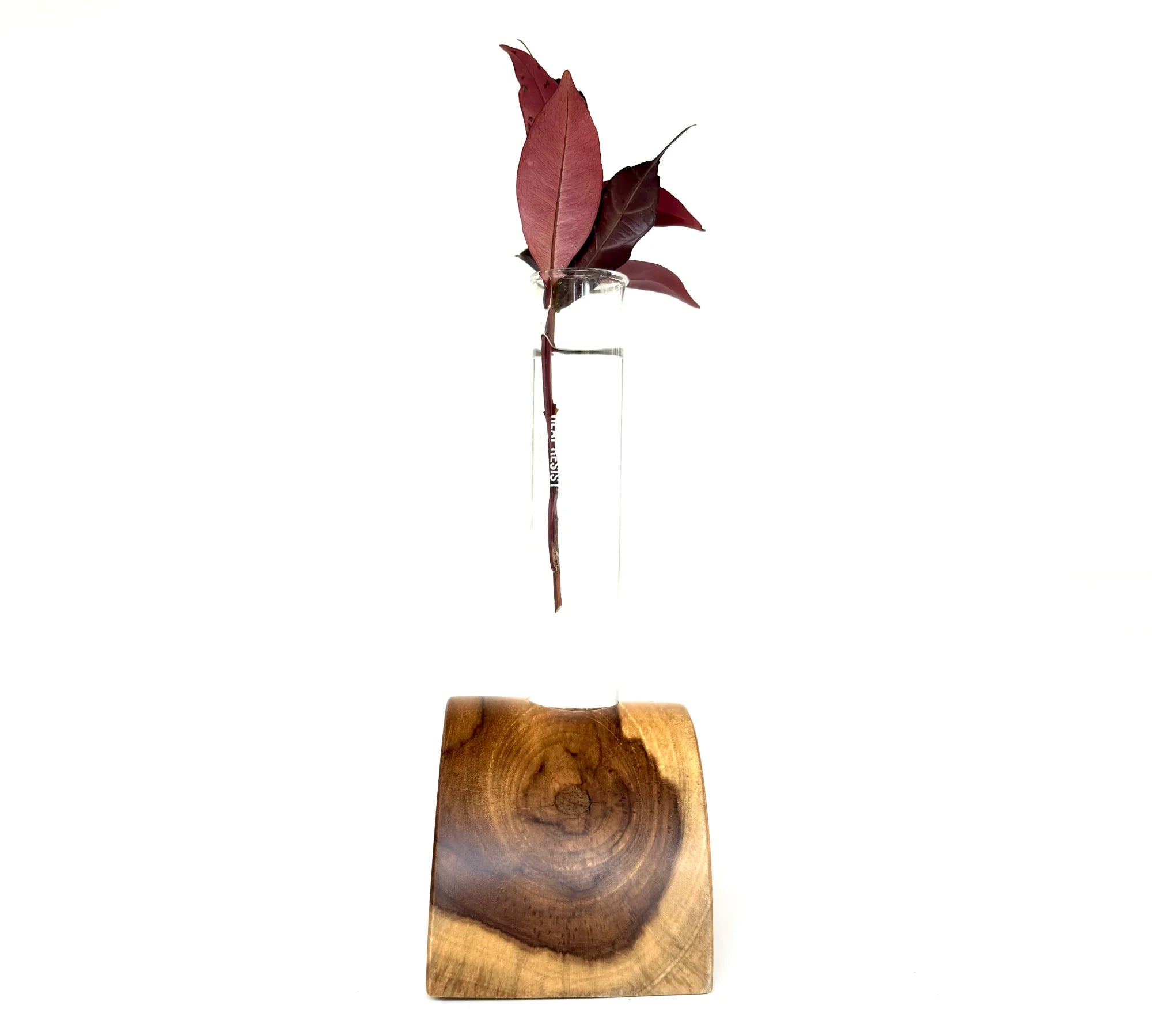 Half circle test tube vase with natural wood base holding a branch of leaves