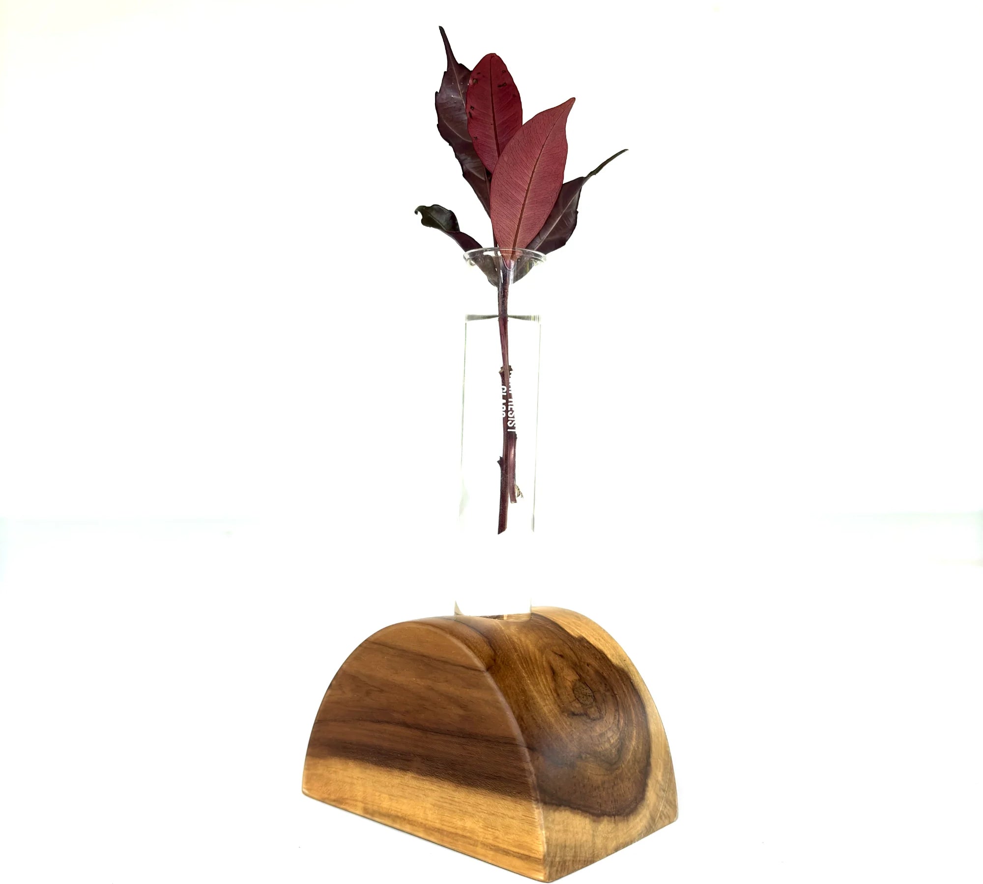 Half circle test tube vase made of wood with a glass tube for displaying floral arrangements
