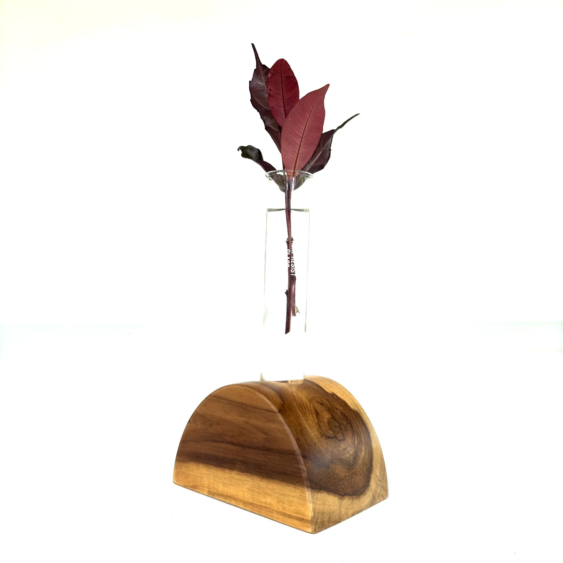 Half circle test tube vase made of wood with a glass tube for displaying floral arrangements