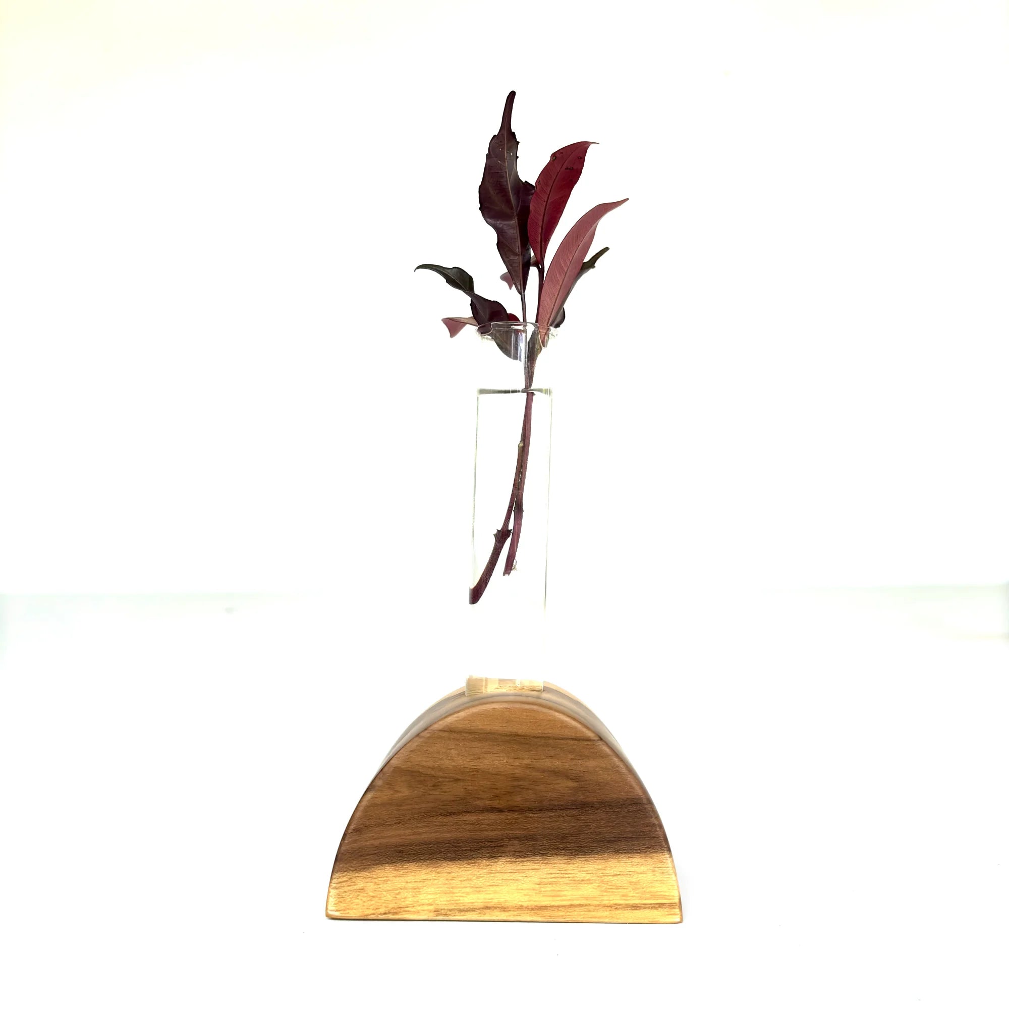 Wood Ceylon half circle test tube vase showcasing a single leaf in a stylish wooden base