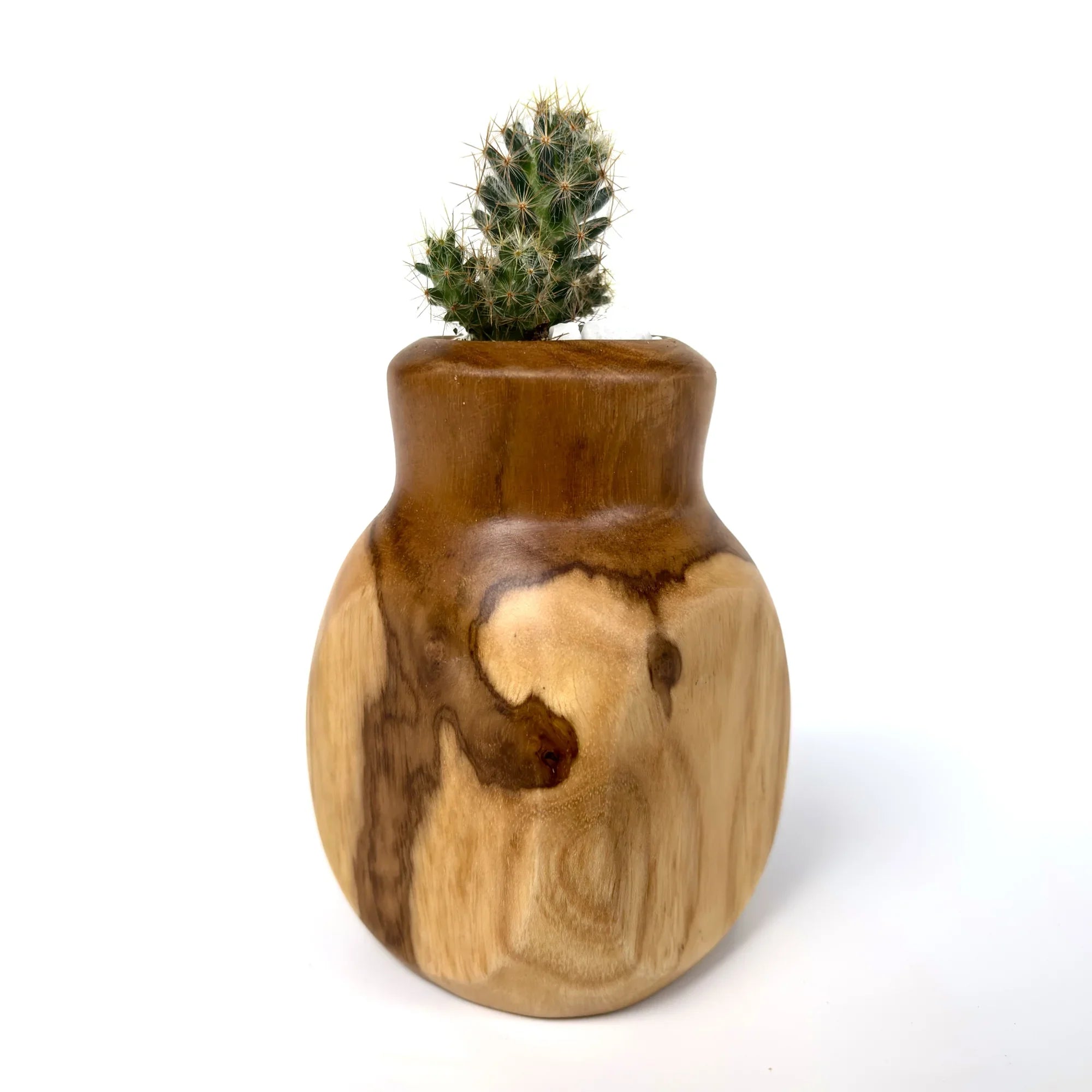 Handcrafted teak cactus pot featuring a unique wood grain design, perfect for adding natural decor