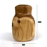 Handcrafted teak cactus pot with a smooth finish, perfect for stylish plant display