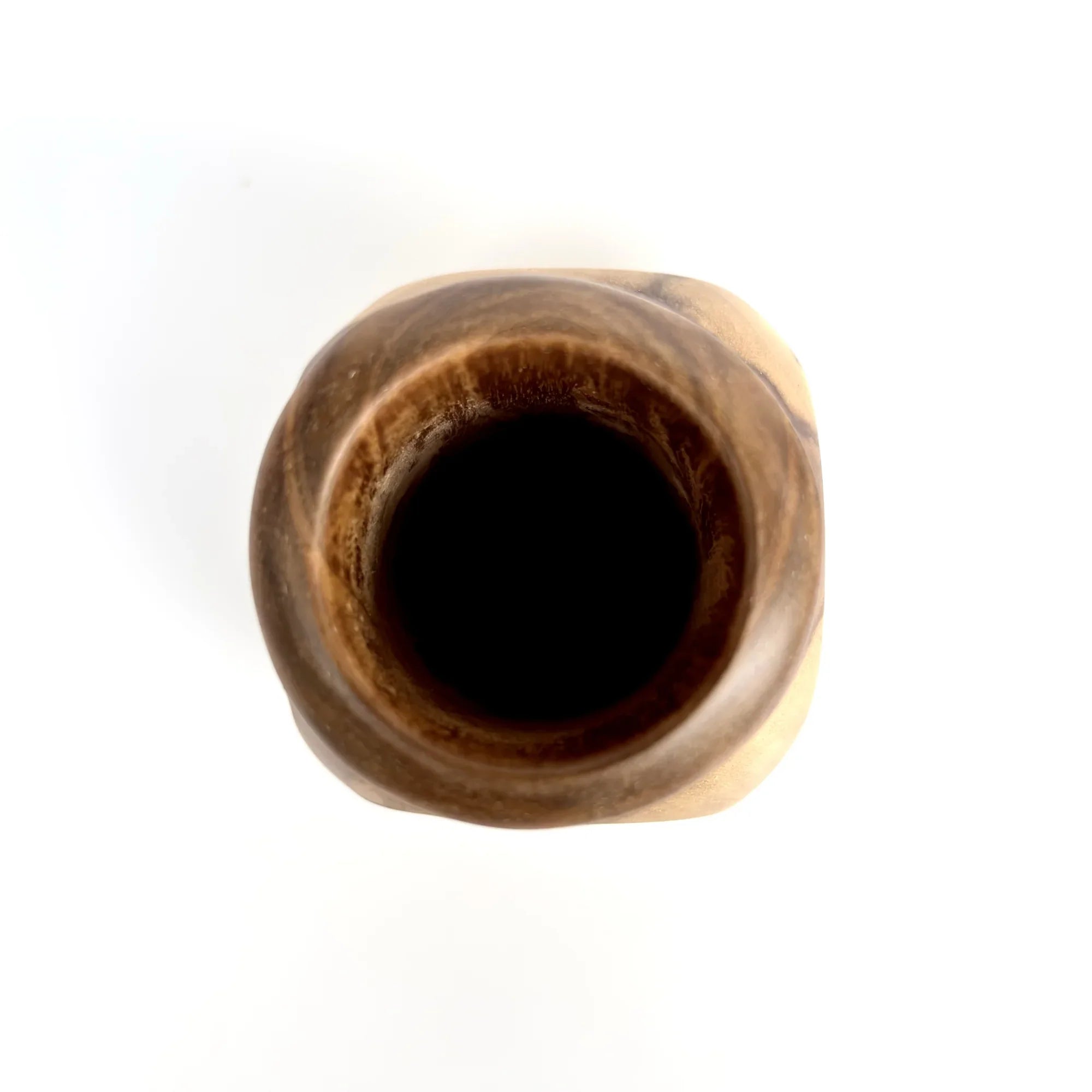 Top view of a handcrafted teak cactus pot with a smooth finish and organic shape for plant lovers