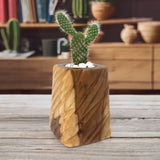WoodWave Cactus Pot - WP001