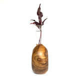 Modern teak flower holder with elegant shape and clear glass insert for vibrant floral displays