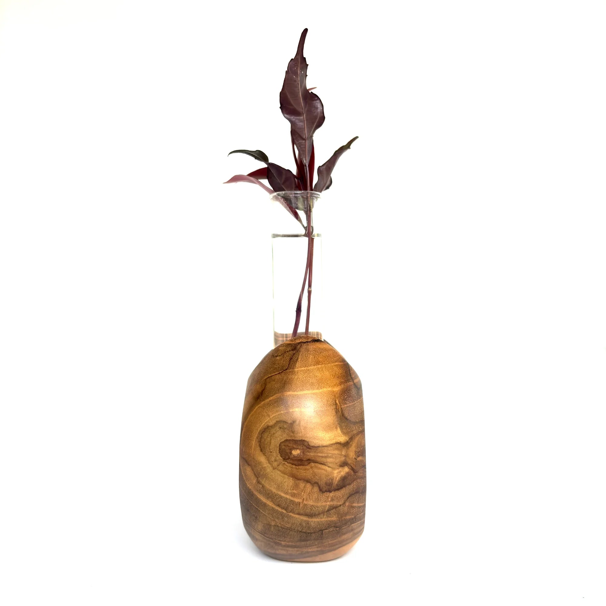 Modern teak flower holder with elegant shape and clear glass insert for vibrant floral displays