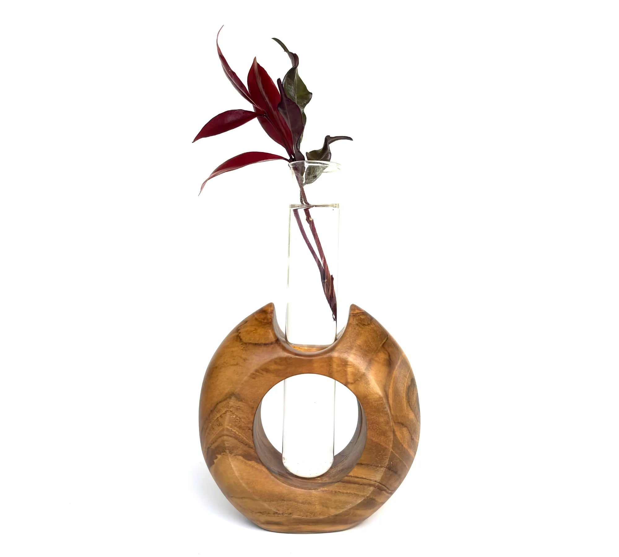 Modern teak flower holder with a glass vase, showcasing a vibrant plant for stylish home decor