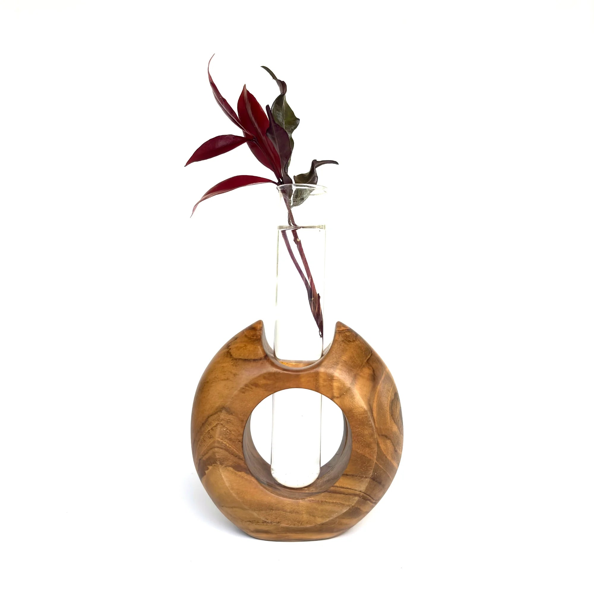 Modern teak flower holder with a glass vase, showcasing a vibrant plant for stylish home decor