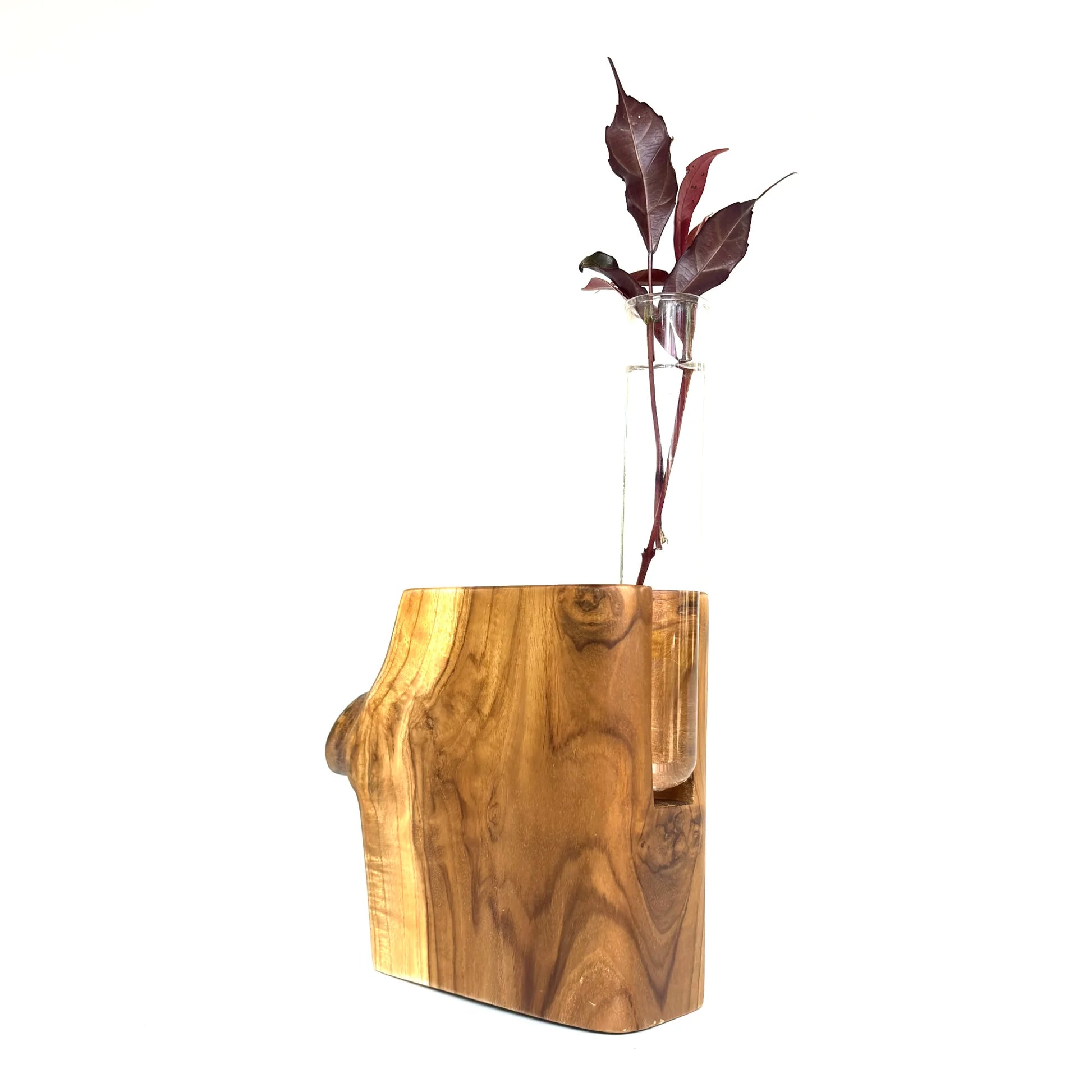 Unique Wood Ceylon natural shape test tube vase in rich wood grain, elegantly holding a single stem