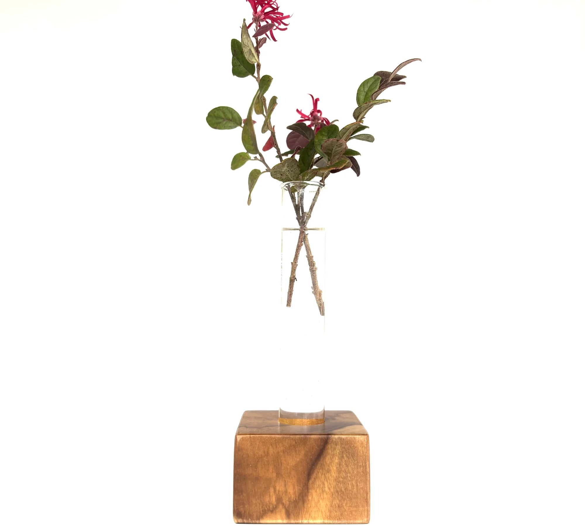 Simple test tube vase with wooden base showcasing fresh flowers for elegant home decor