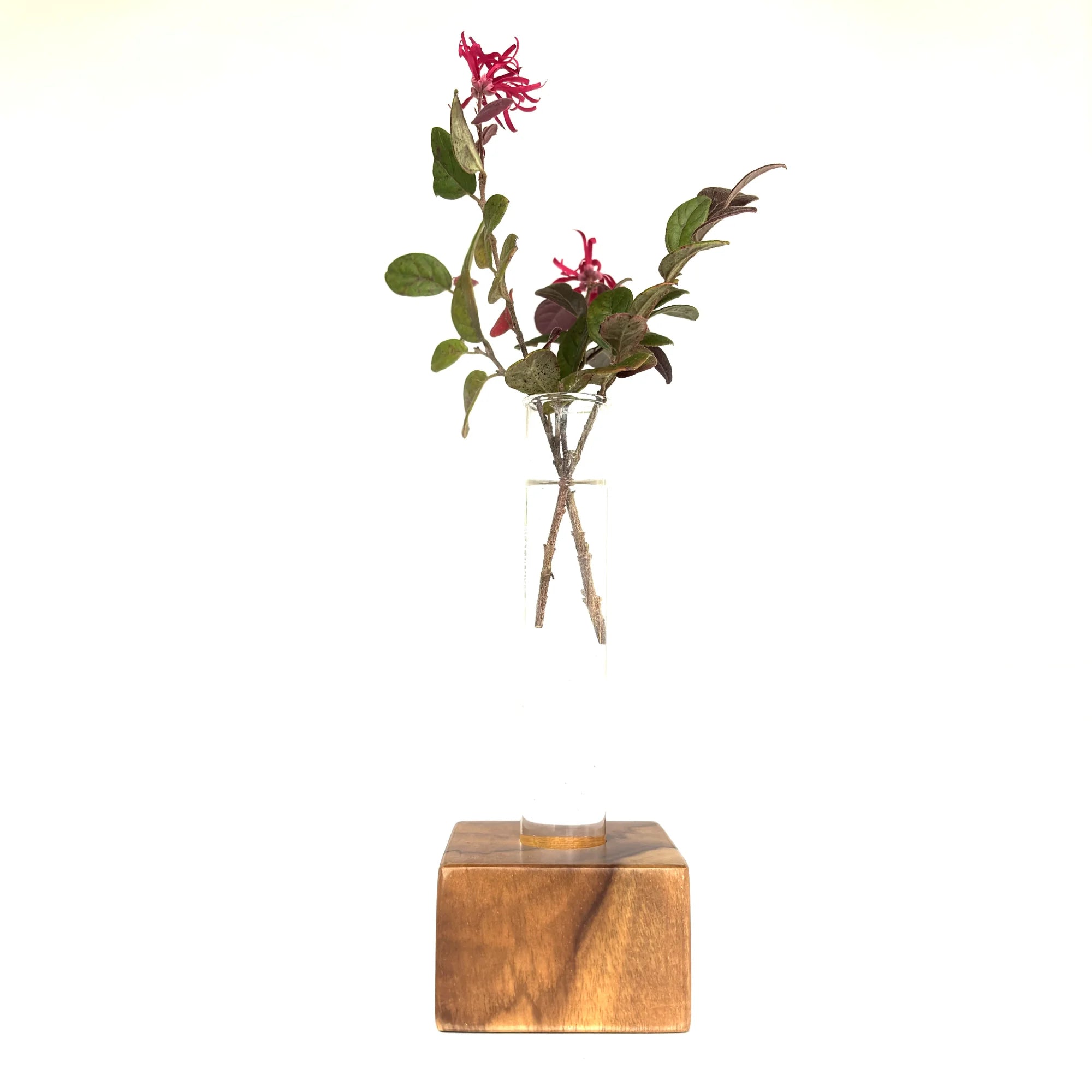 Simple test tube vase with wooden base showcasing fresh flowers for elegant home decor