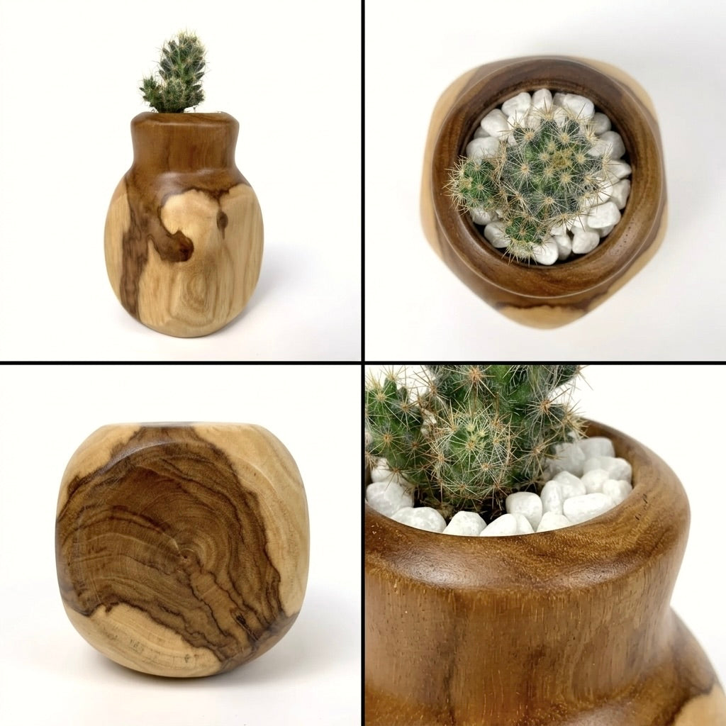 Teak Curved Cactus Pot in Natural Finish for Stylish Plant Display