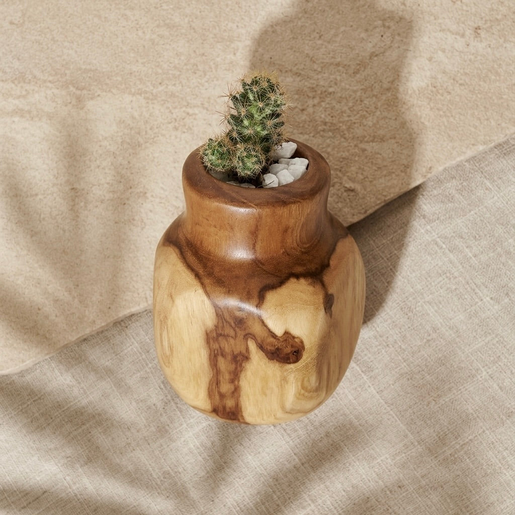 Teak Curved Cactus Pot, natural wood finish, perfect for displaying small plants