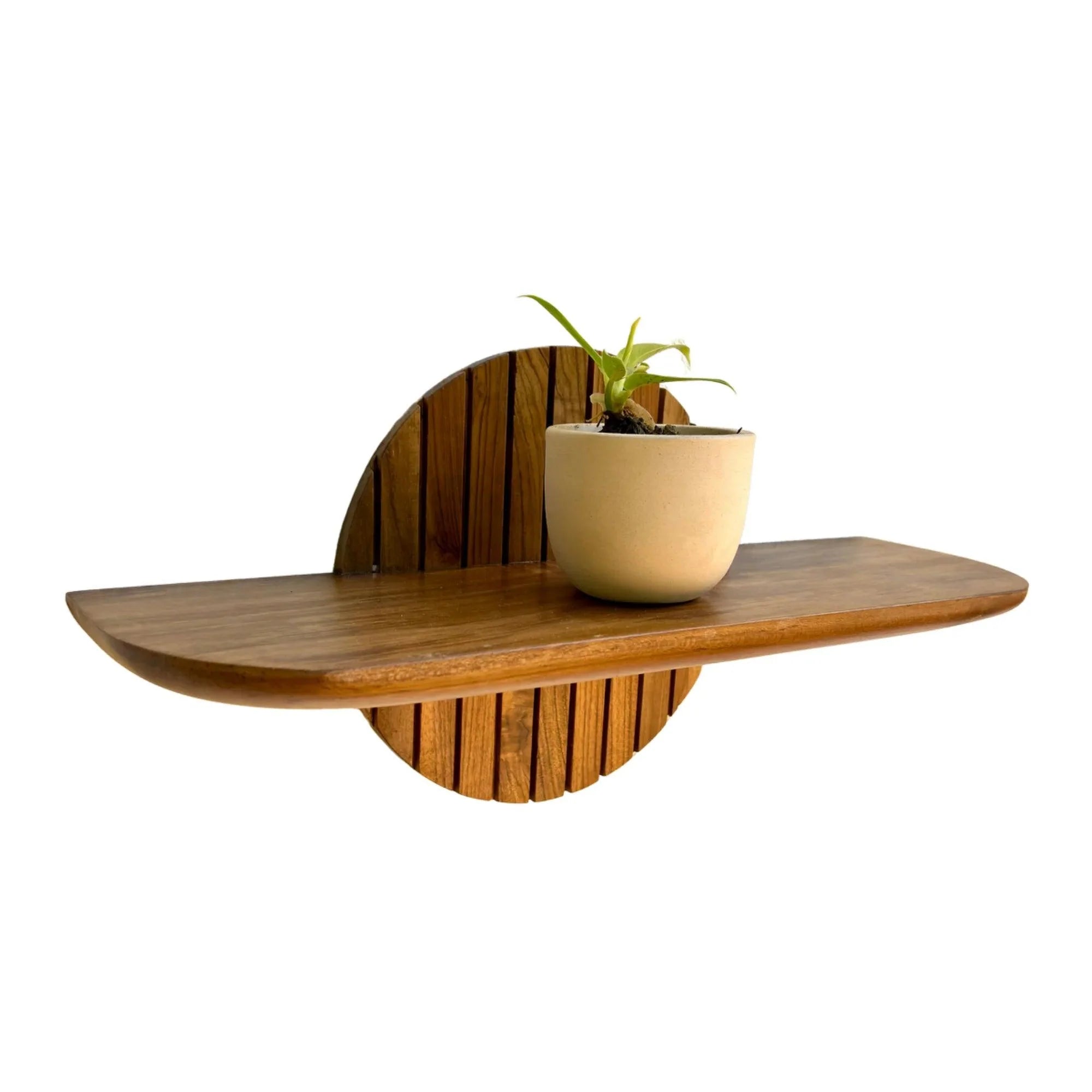 Wood Ceylon teak floating plant shelf with curved edges holding a small potted plant