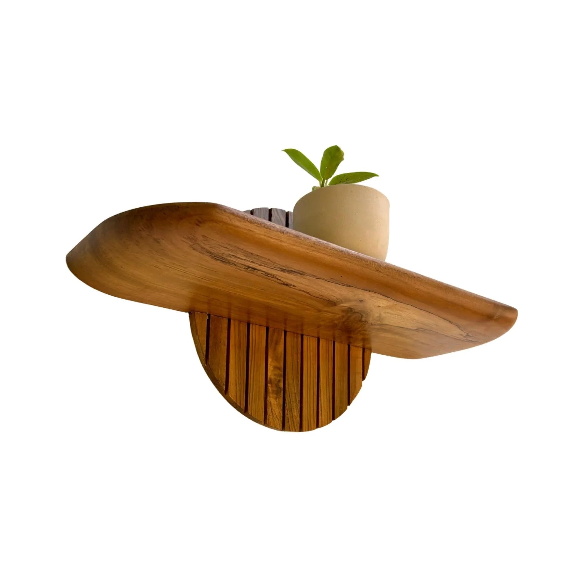 Wood Ceylon teak floating plant shelf with a small potted plant on top against a white background