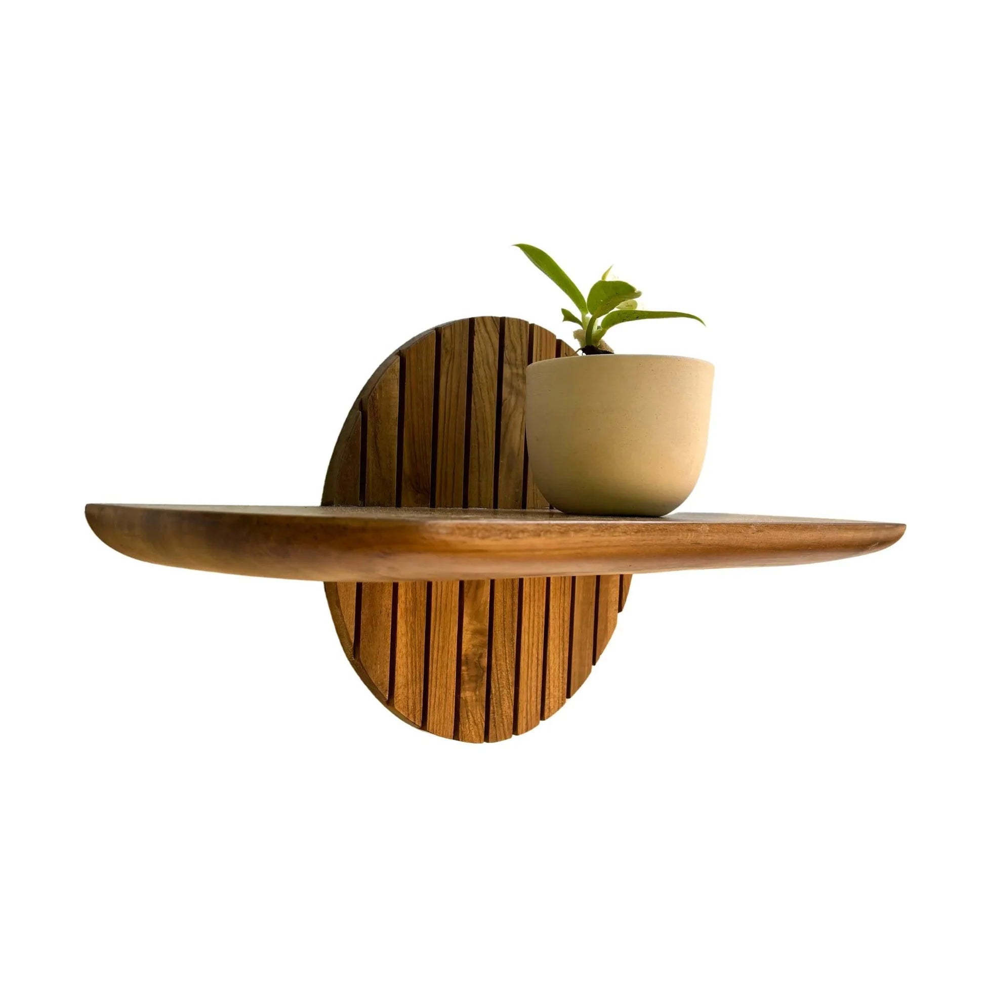 Wood Ceylon teak floating plant shelf mounted with small potted plant on white background