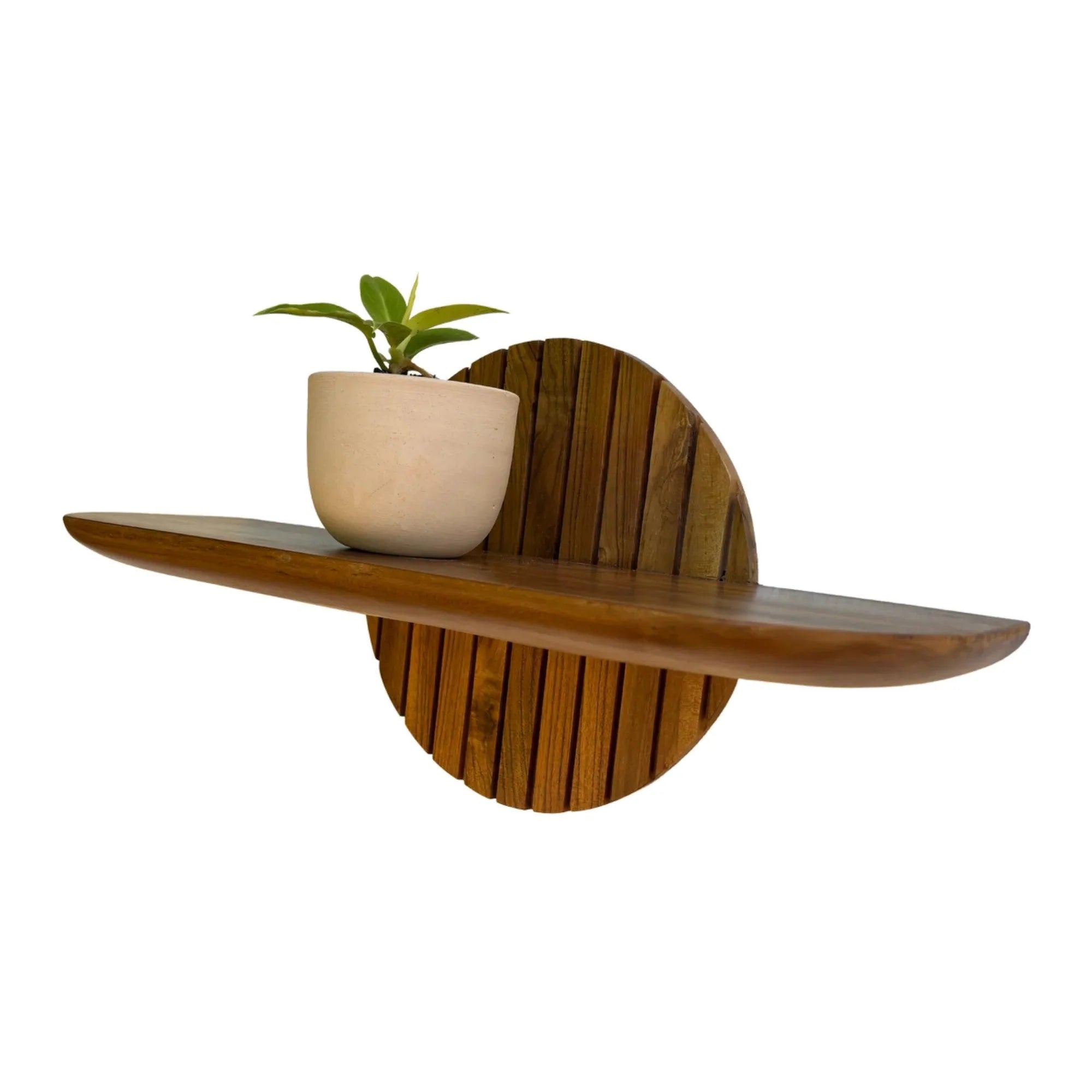 Wood Ceylon teak floating plant shelf mounted on wall with small potted plant on top