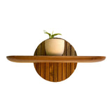 Wood Ceylon teak floating plant shelf with round backplate holding a small potted plant