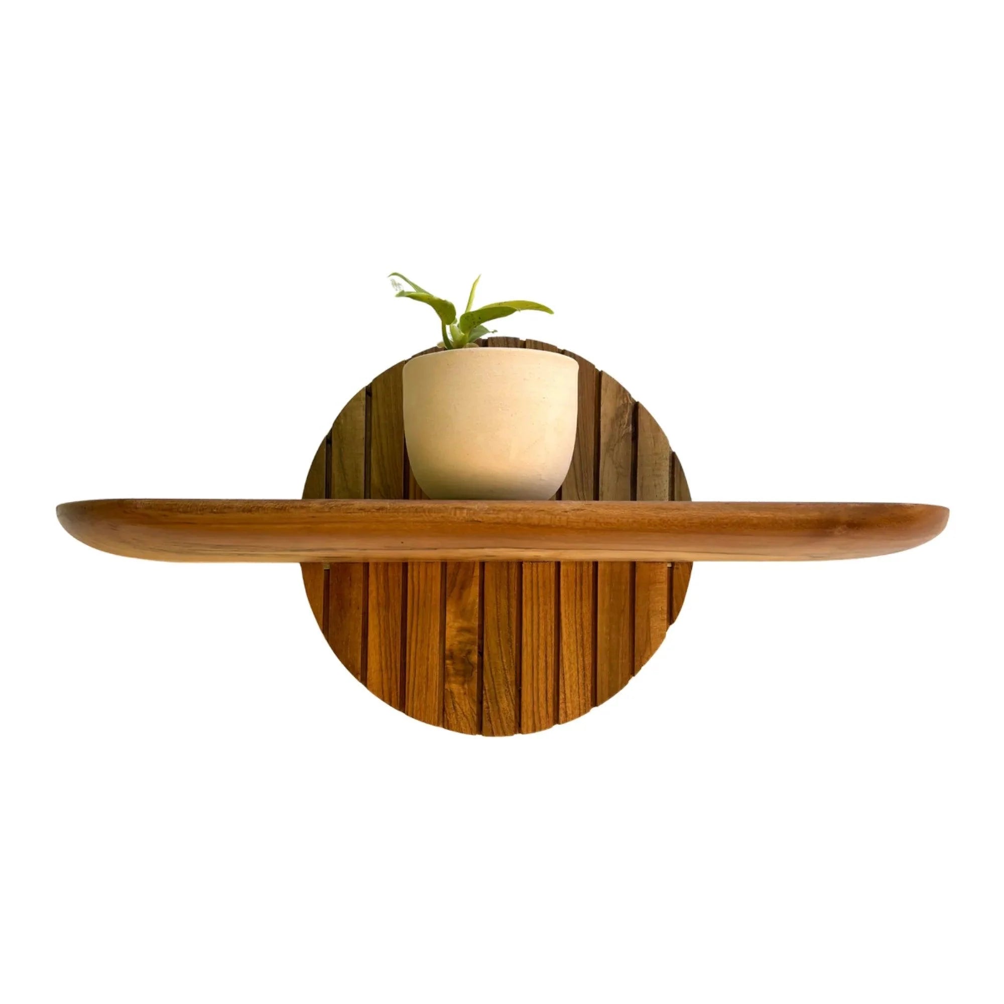 Wood Ceylon teak floating plant shelf with round backplate holding a small potted plant