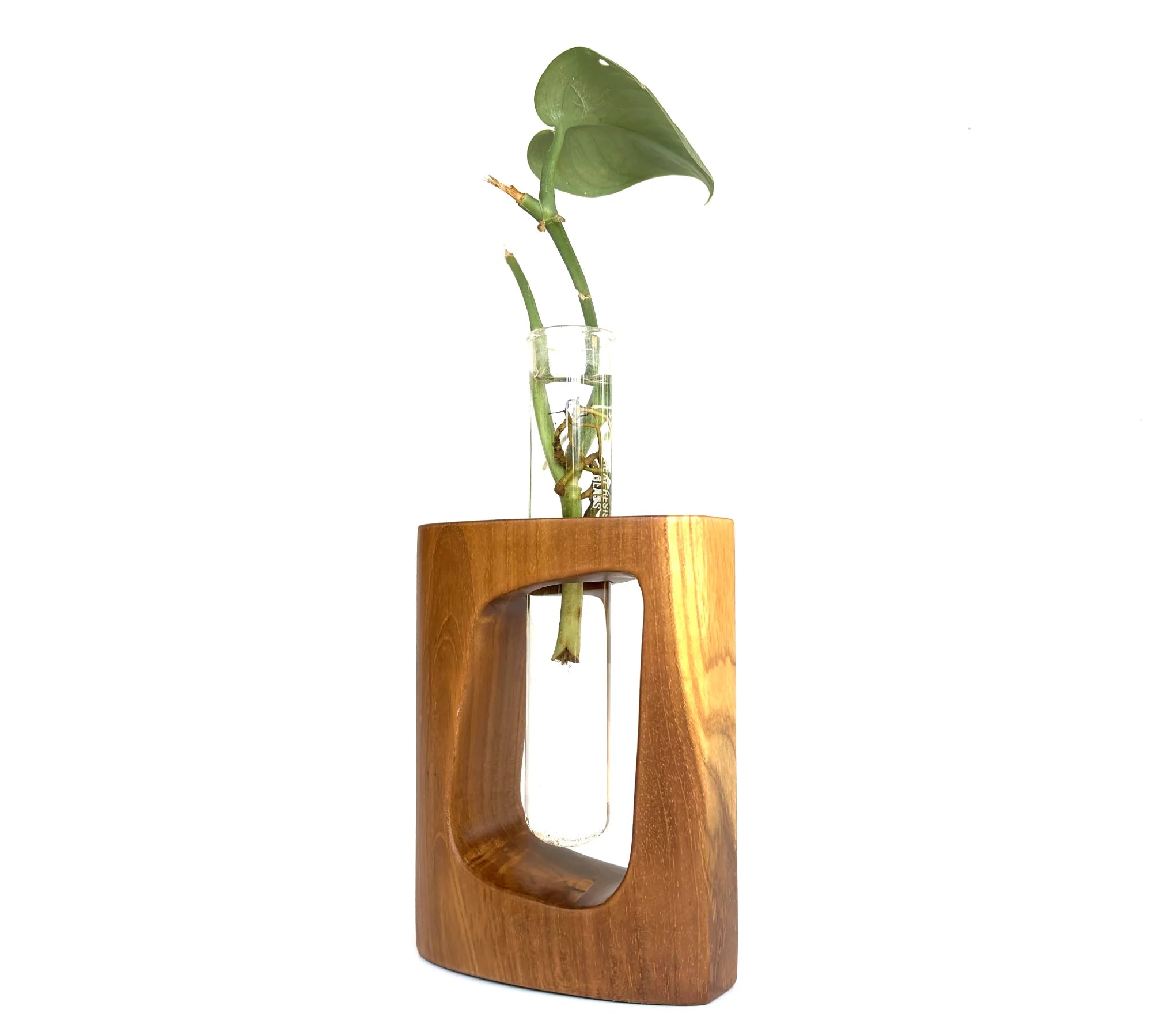 Unique teak test tube vase from Wood Ceylon with a modern design and glass insert for floral displays