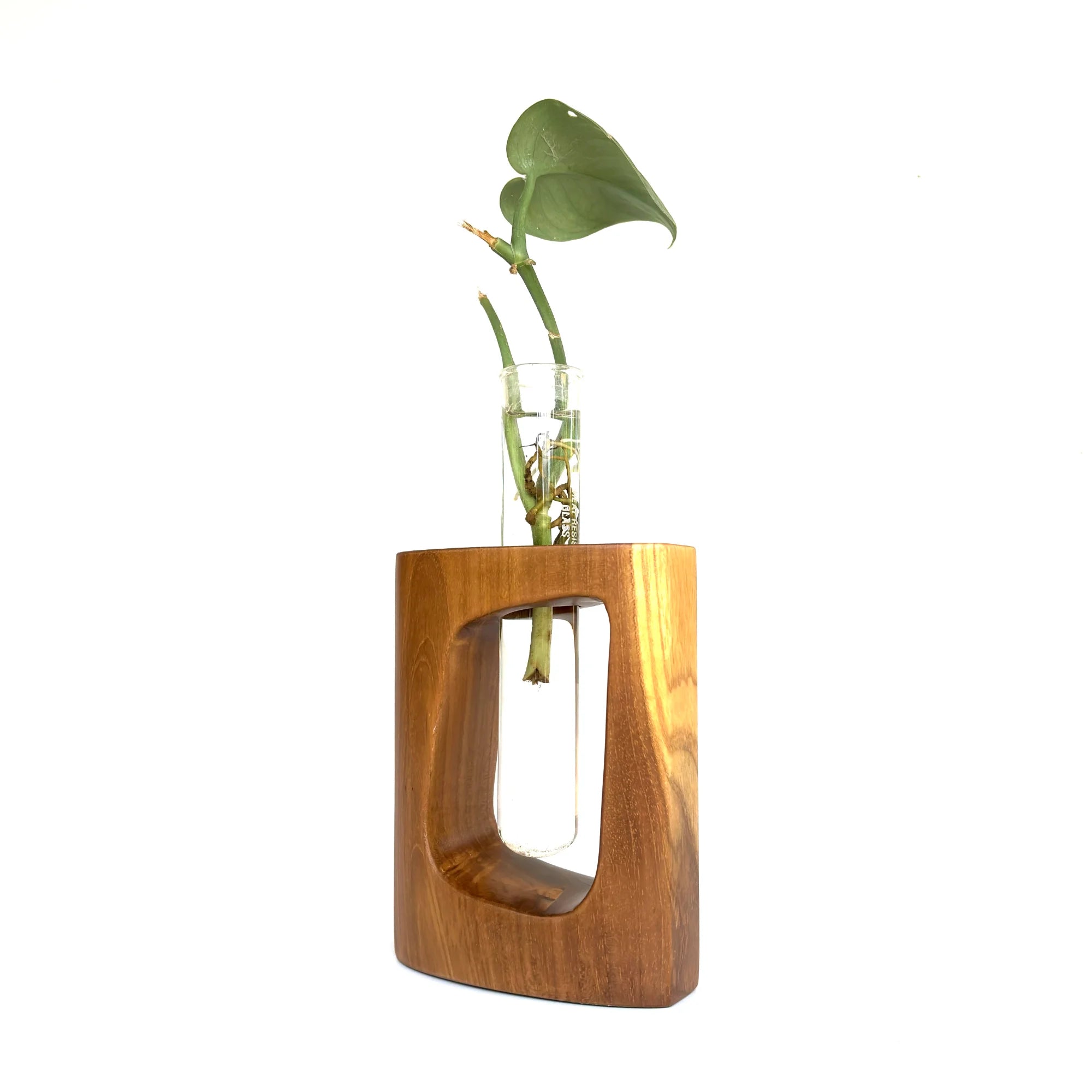 Unique teak test tube vase from Wood Ceylon with a modern design and glass insert for floral displays