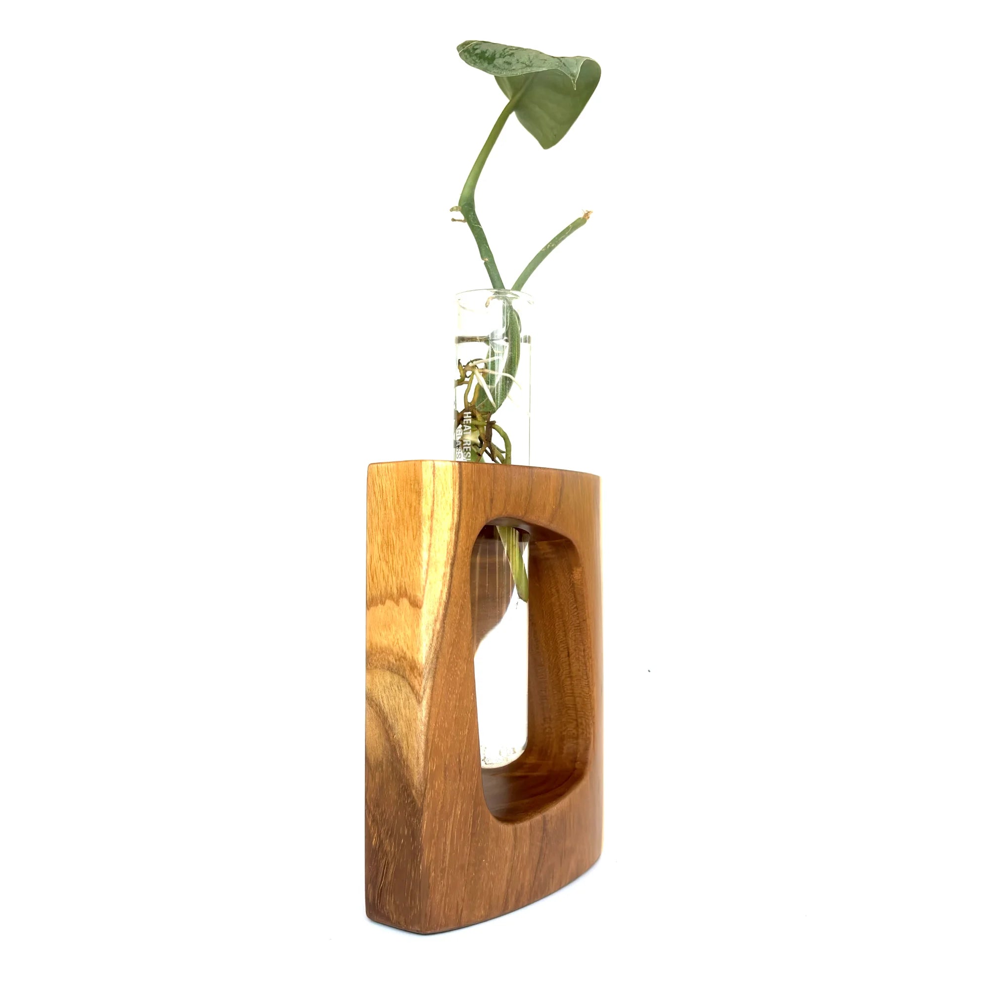 Wood Ceylon teak test tube vase showcasing a stylish wooden base with a glass test tube for plant display