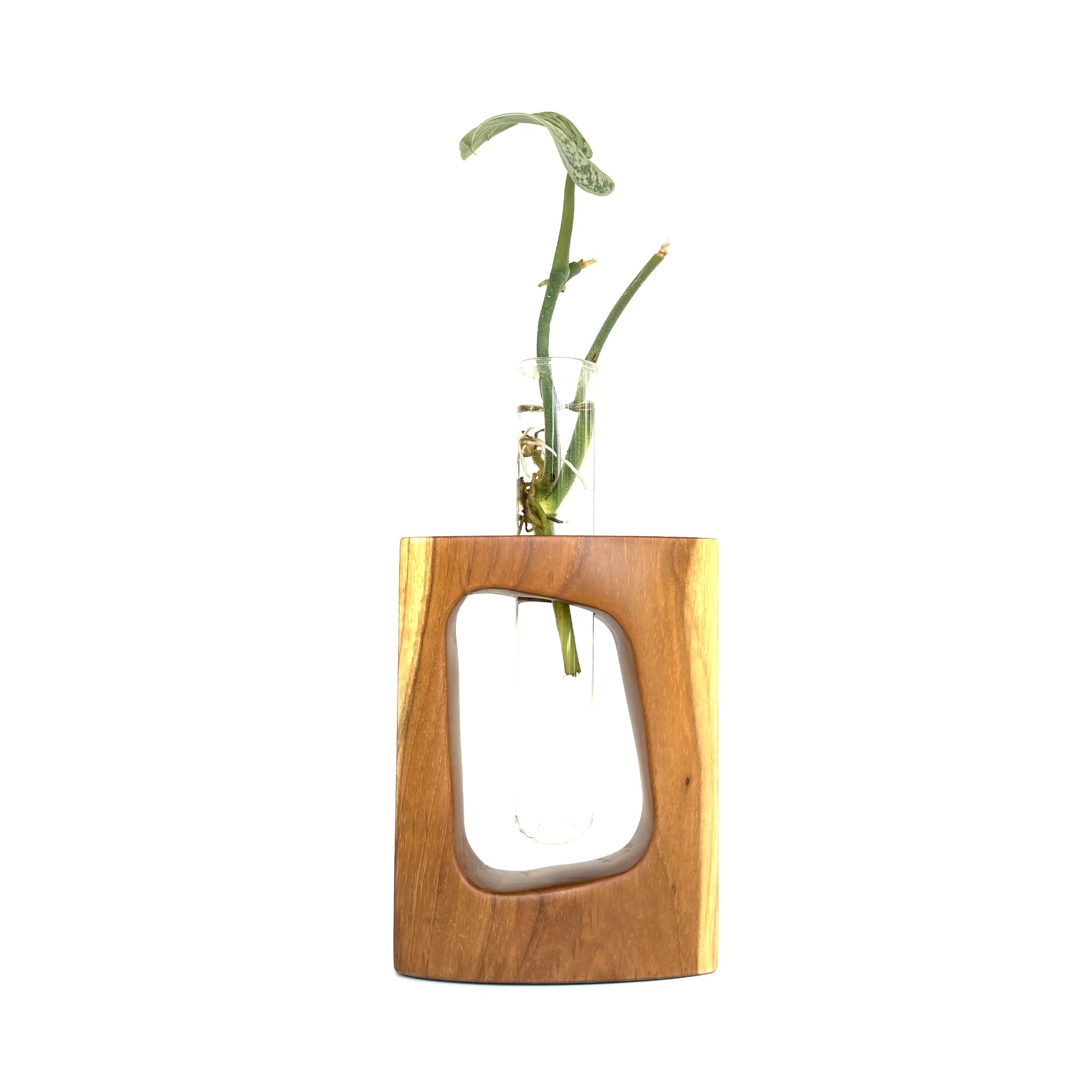 Teak test tube vase from Wood Ceylon featuring a modern wooden base and a clear glass tube
