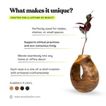Teak wood test tube vase designed for small spaces, showcasing eco-friendly craftsmanship and unique styles