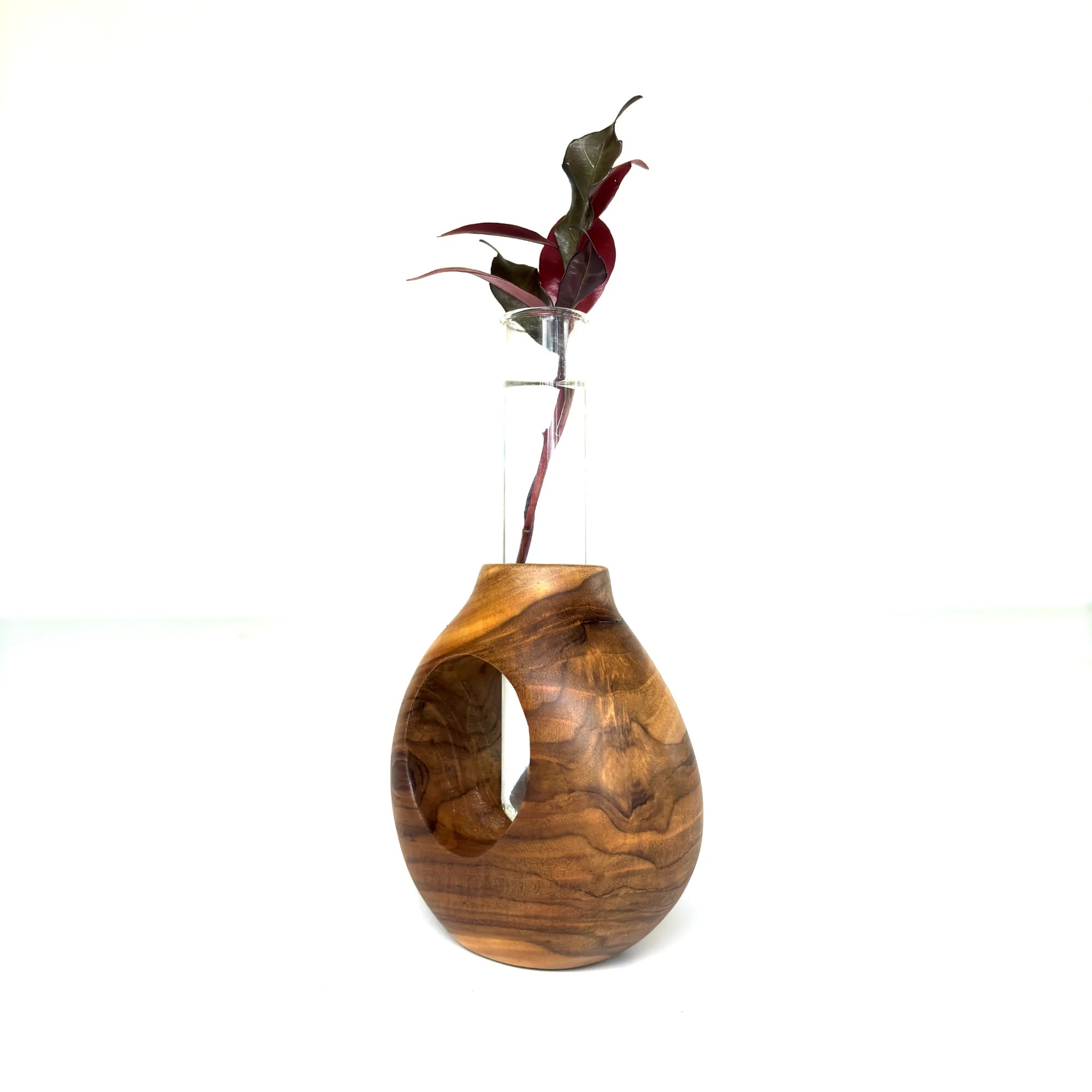 Teak wood test tube vase with a unique shape displaying a single stemmed plant