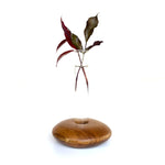 Wood Ceylon Pebble Shape Test Tube Vase with Glass Tube and Wooden Base for Elegant Floral Displays